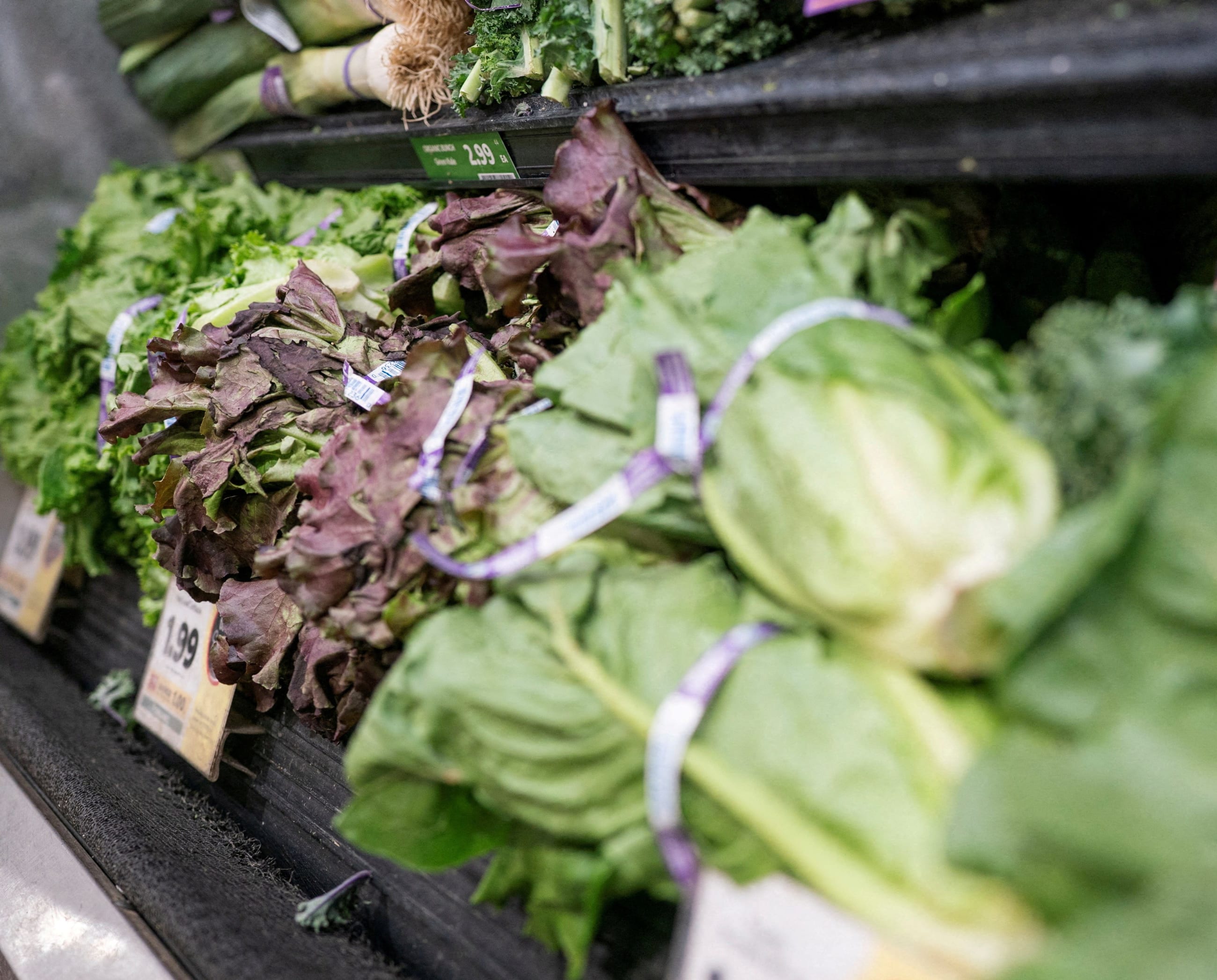 Lettuce is displayed for sale at a grocery store, in Washington, DC, on July 24, 2026.