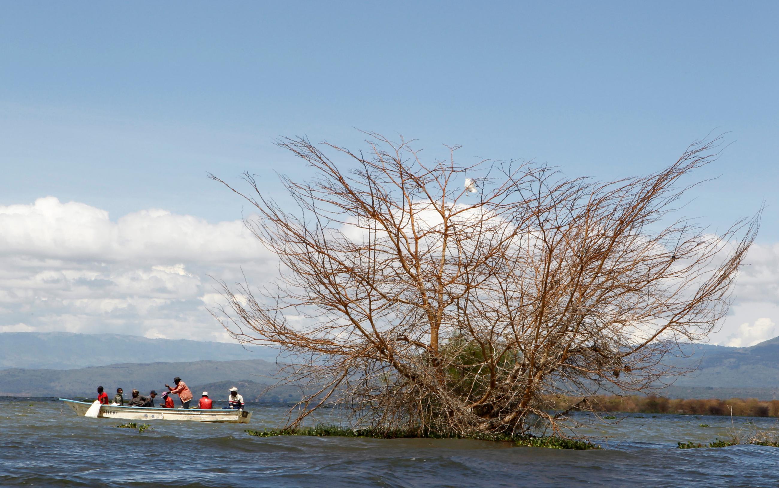 Fishermen paddle their boat near a submerged tree after the water levels at Lake Naivasha bulged to record high, pushing hundreds of people from surrounding farms around Naivasha town within Nakuru county, Kenya November 8, 2020.