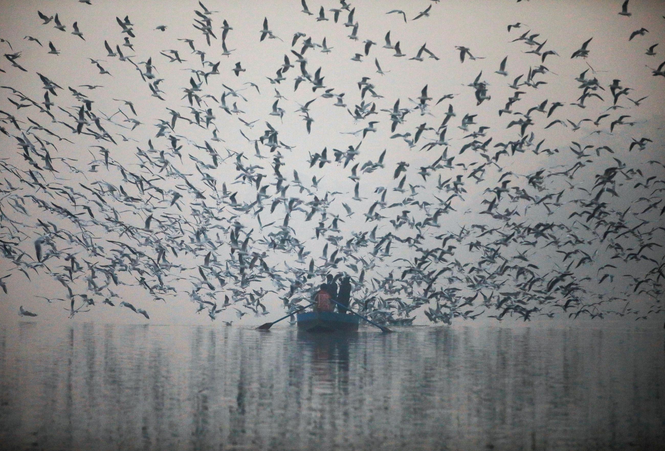 People feed seagulls from a boat at Yamuna river, on a smoggy morning in New Delhi, India, on November 18, 2021.