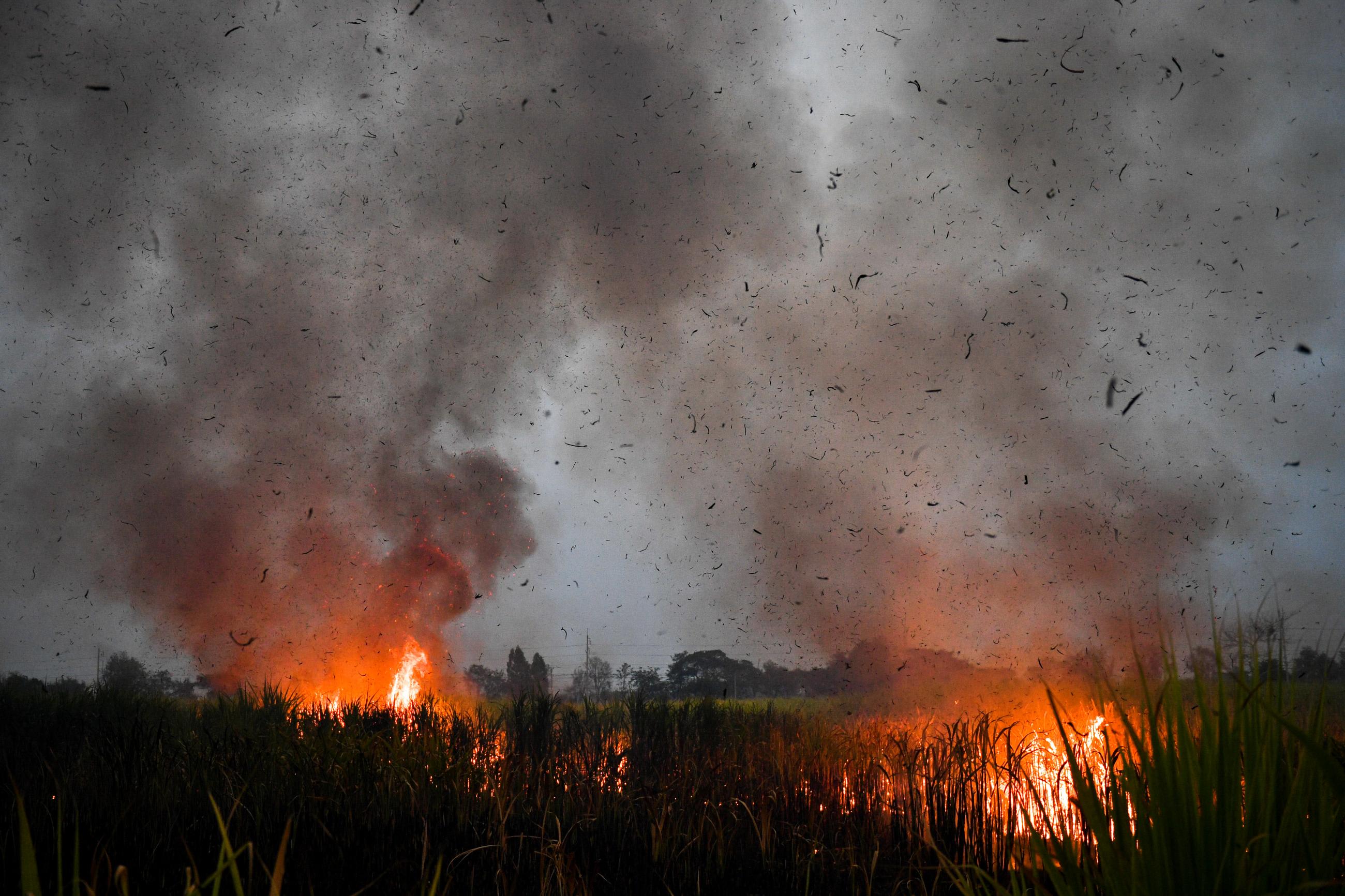A sugarcane field is engulfed in flames at dusk as local growers try to avoid arrest by authorities who banned on the practice to curb smog in Suphan Buri province, Thailand, on January, 20, 2020.