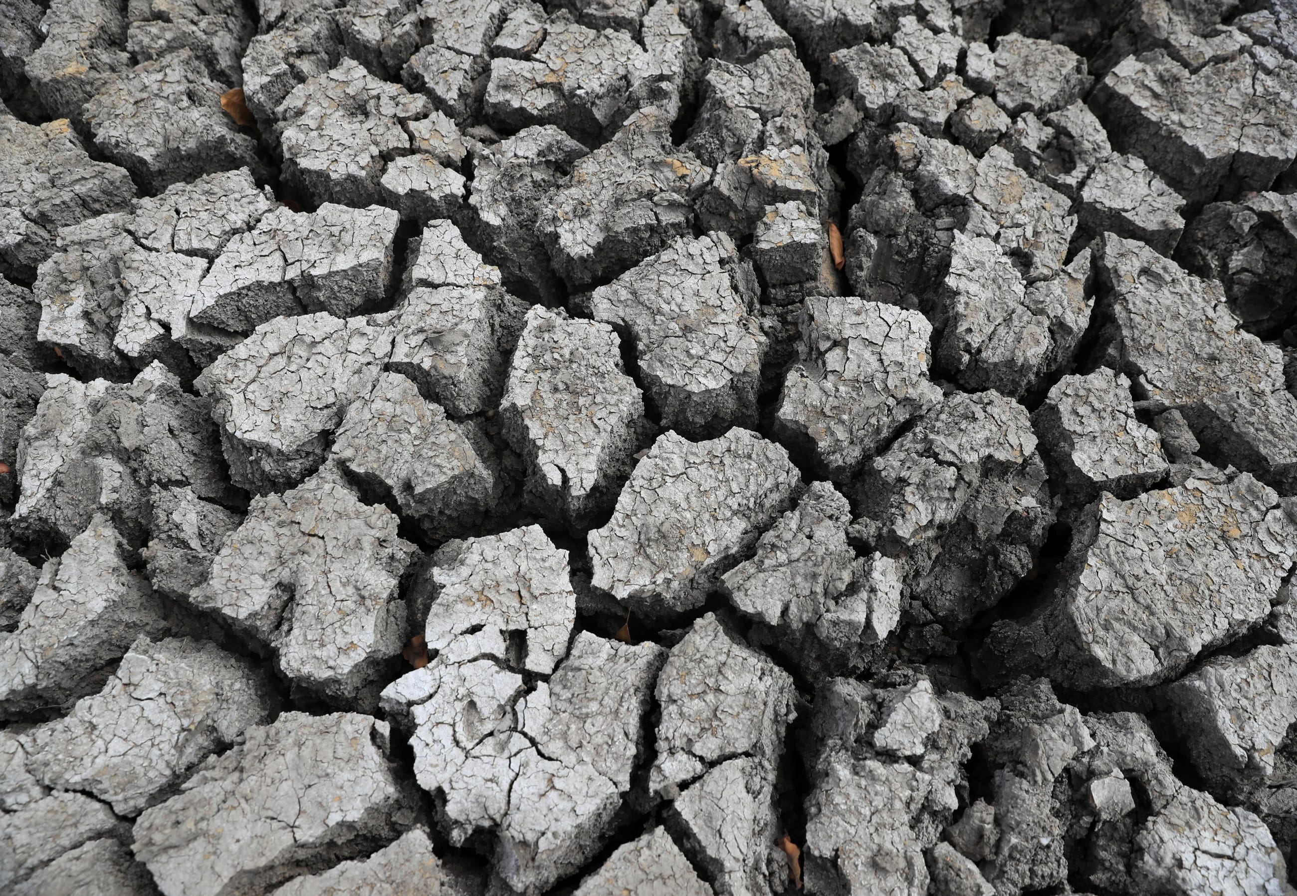 A view of cracked ground at a dam, as Zimbabwe is experiencing an El Niño-induced drought, in Mudzi, Zimbabwe, on July 2, 2024.