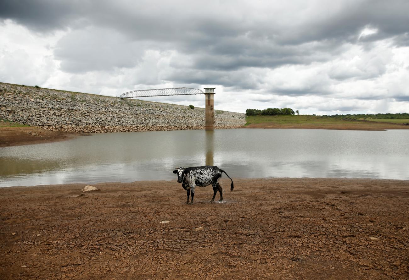 A black and white cow stands on caked and cracked mud before a small patch of muddy, gray water at a dam near Bulawayo, Zimbabwe, on January 18, 2020.