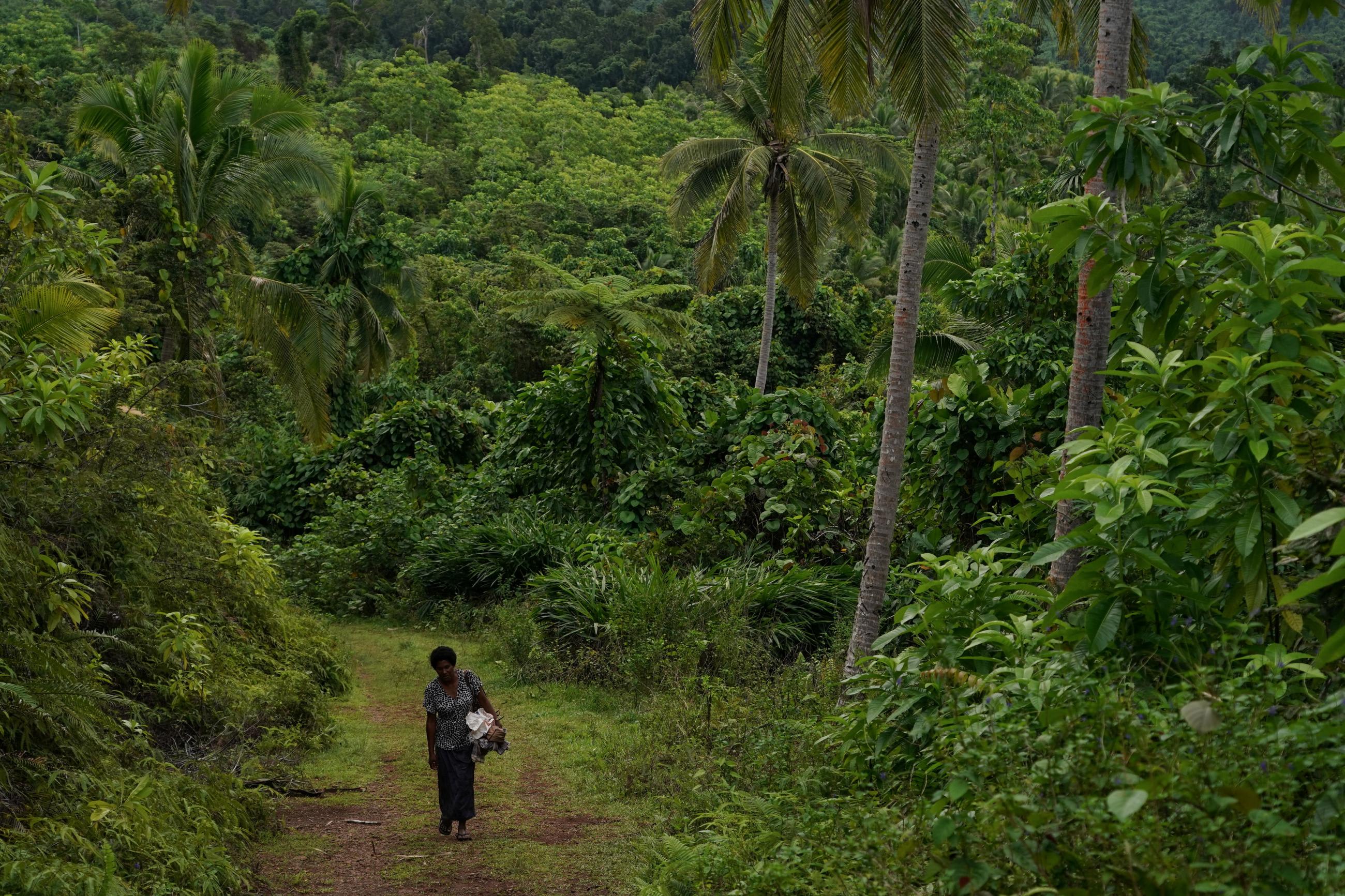 A woman wearing a black blouse and slacks is pictured walking down a cleared pathway in a lush, green jungle in Fiji.