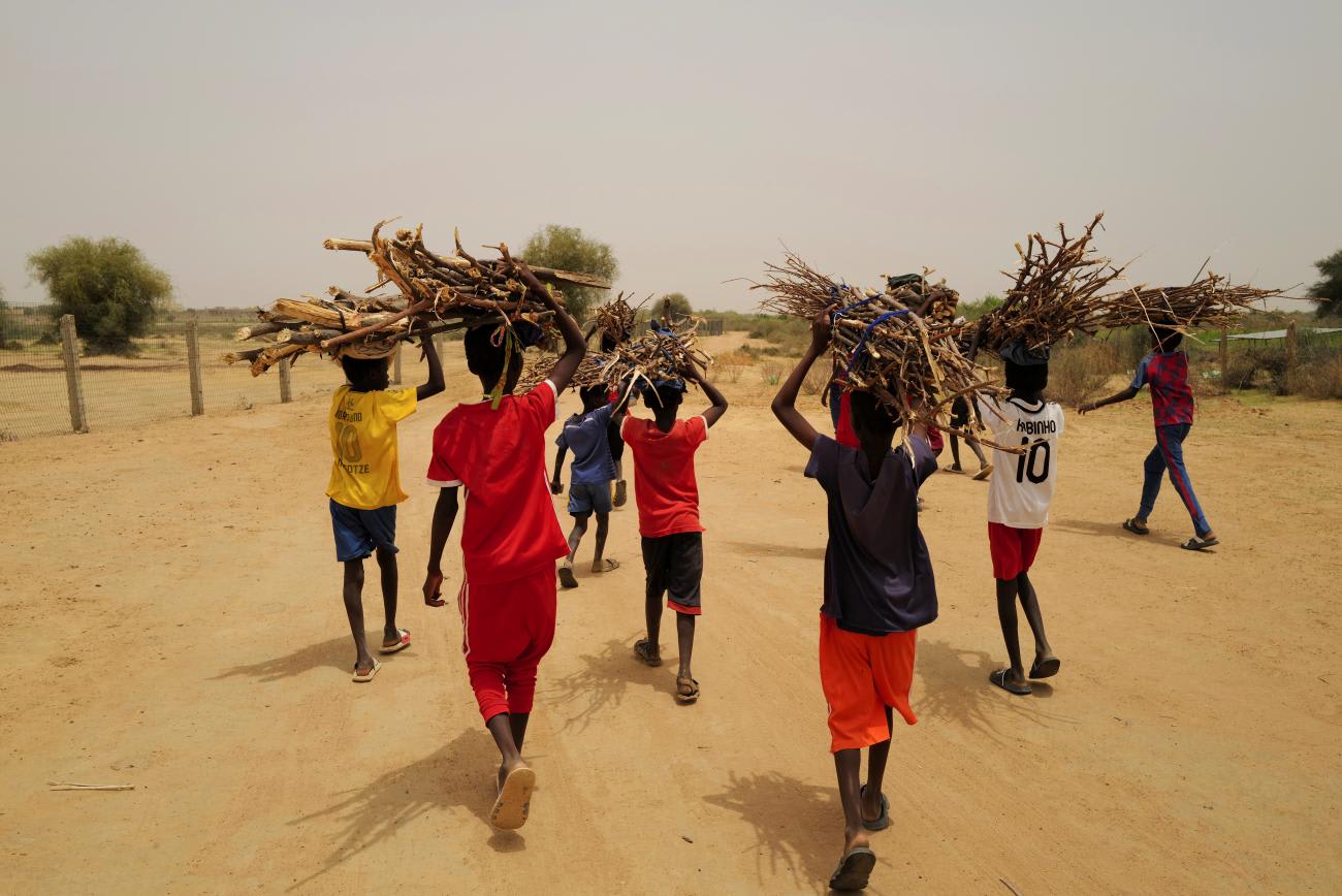 Children carry wood that was collected for cooking, as they walk past a newly built a Tolou Keur garden in Boki Diawe, within the Great Green Wall area, in Matam region, Senegal, July 10, 2021. Gardens known as 'Tolou Keur' hold plants and trees resistant to hot, dry climates, and are planted with circular beds that allow roots to grow inwards, trapping liquids and bacteria and improving water retention and composting. REUTERS/Zohra Bensemra