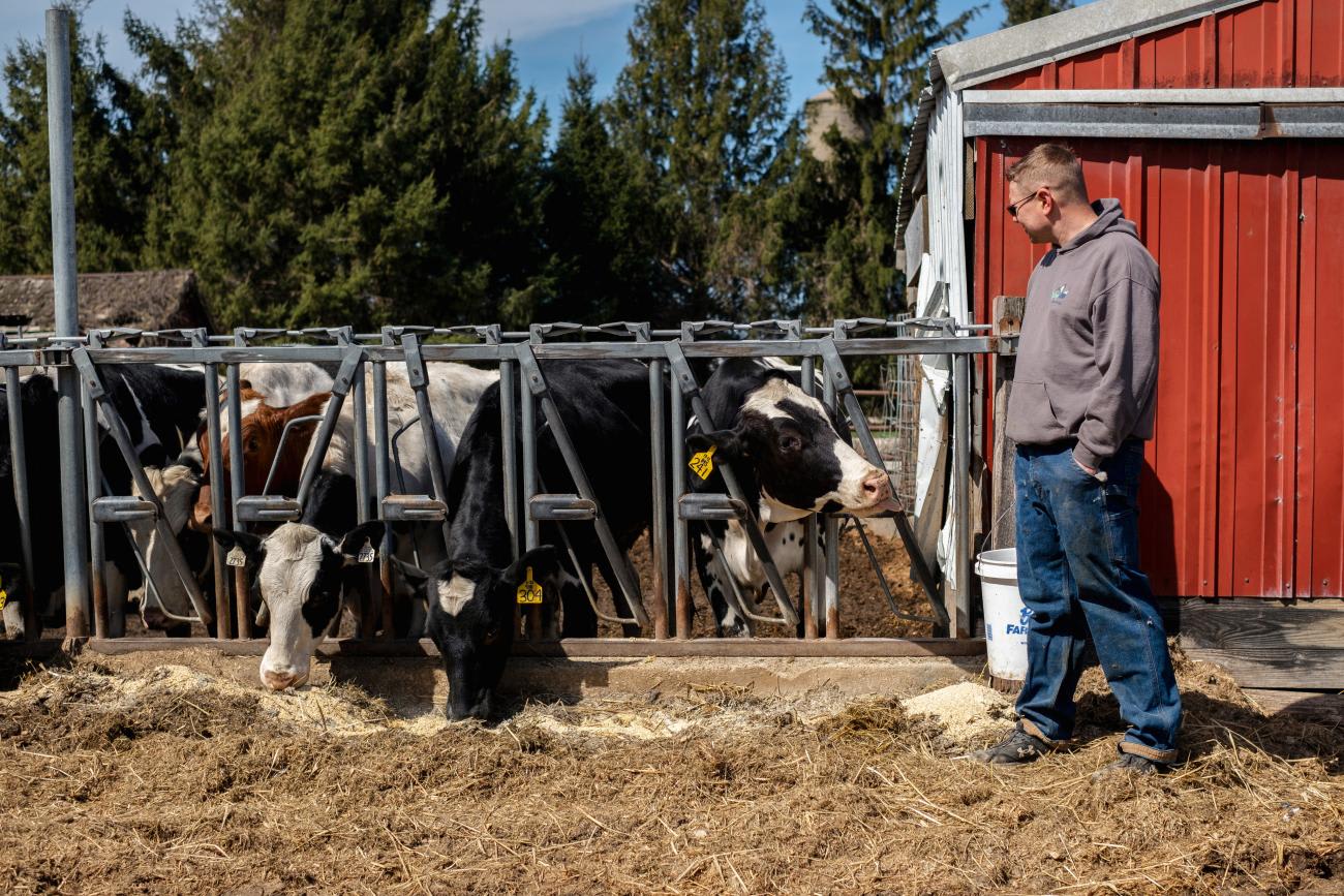 Dairy farmer Brent Pollard stands next to a cow pen at his farm in Rockford, Illinois, on April 9, 2024.