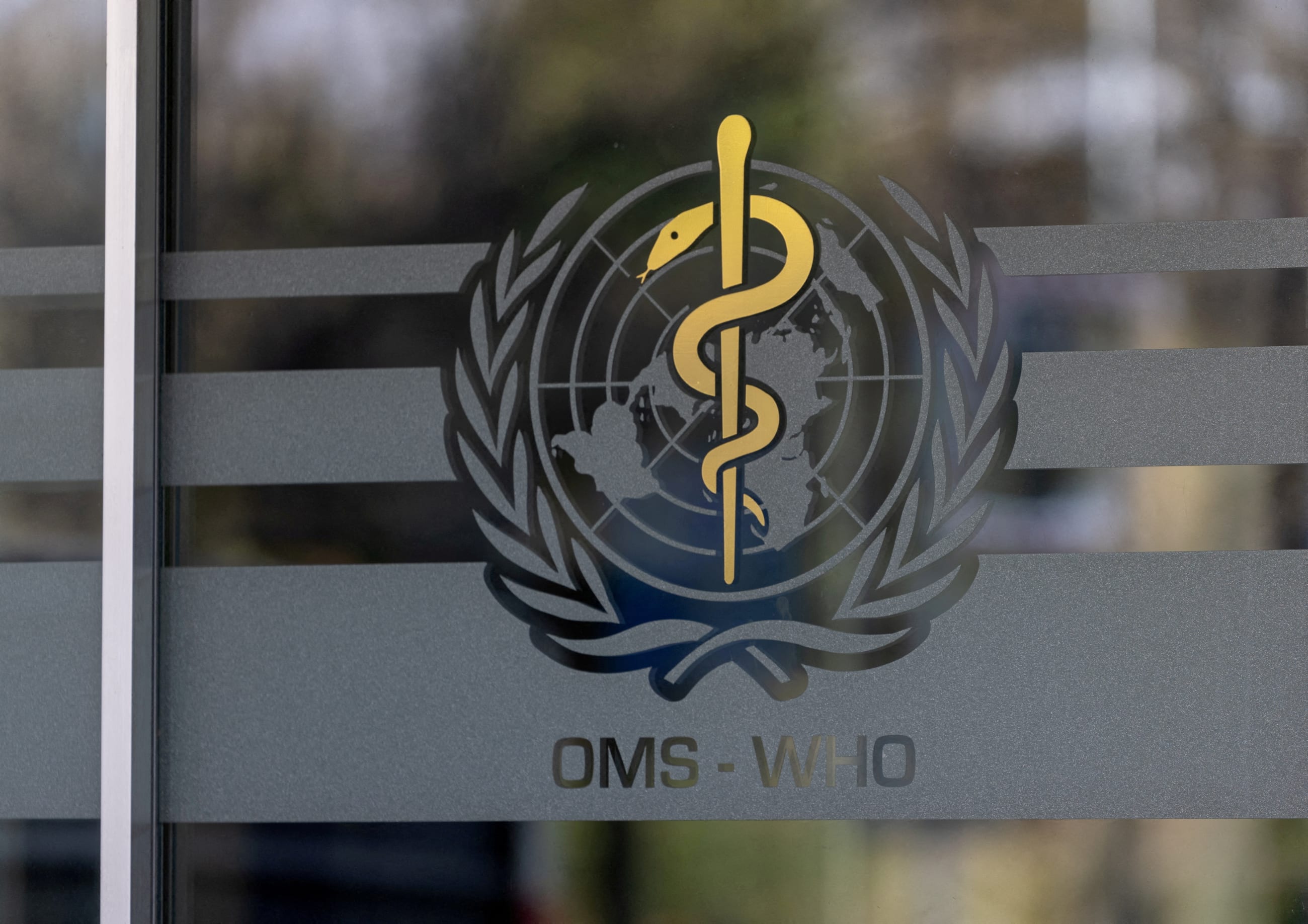 The logo of the World Health Organization is seen at the WHO headquarters, in Geneva, Switzerland, on January 28, 2025.