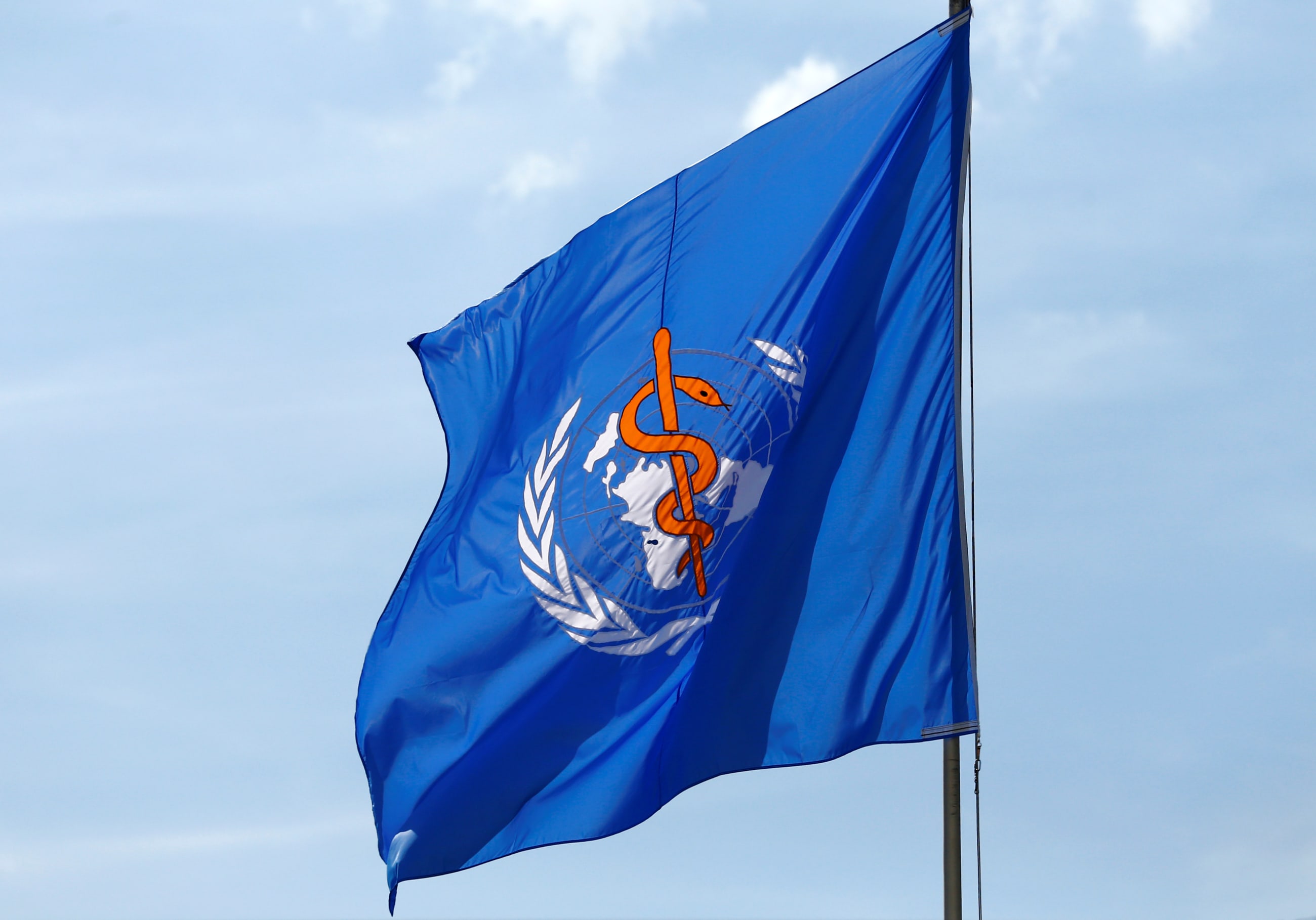 A WHO flag is pictured during the 70th World Health Assembly, at the United Nations, in Geneva, Switzerland, on May 23, 2017.