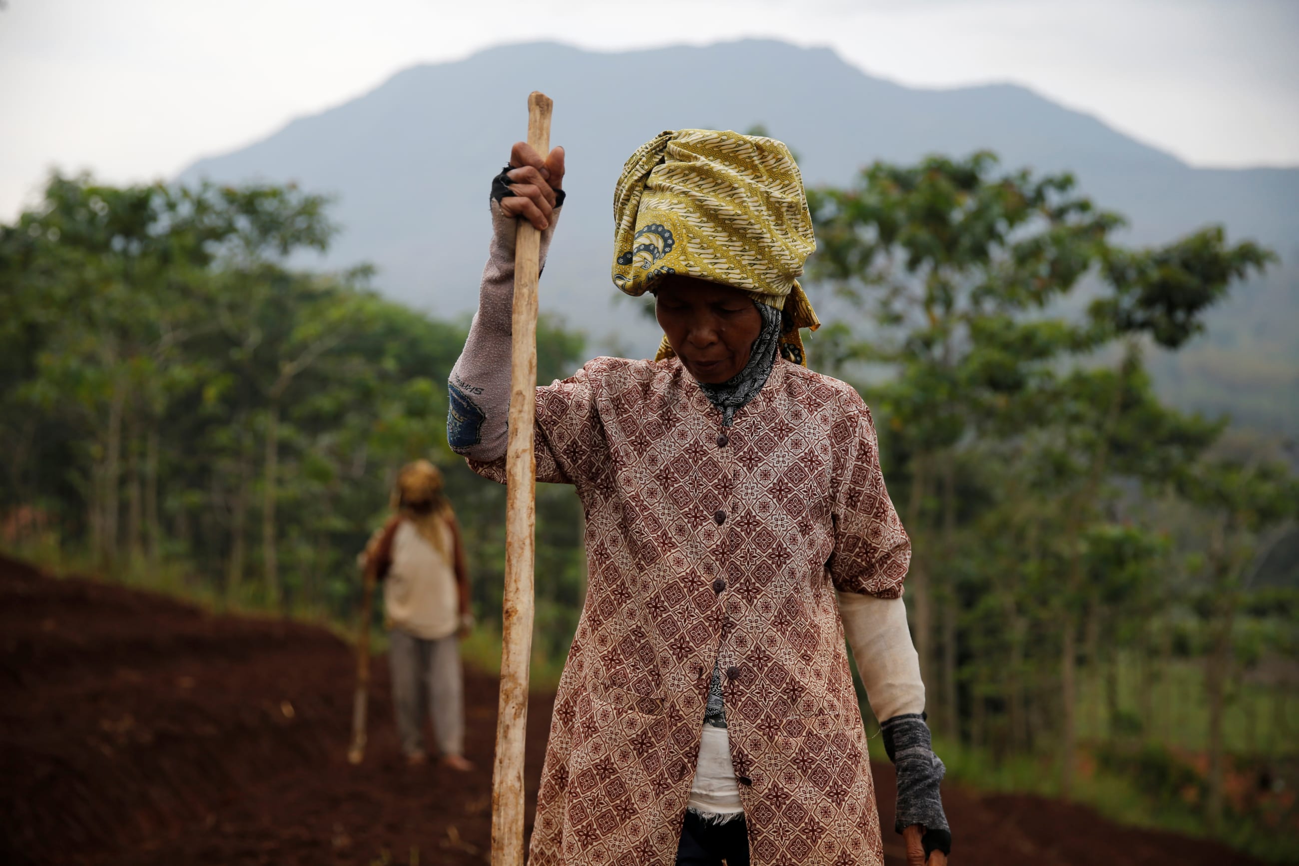 Women workers plant beans, in Majalaya, Indonesia, on October 12, 2017.