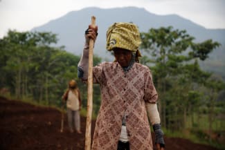 Women workers plant beans, in Majalaya, Indonesia, on October 12, 2017.