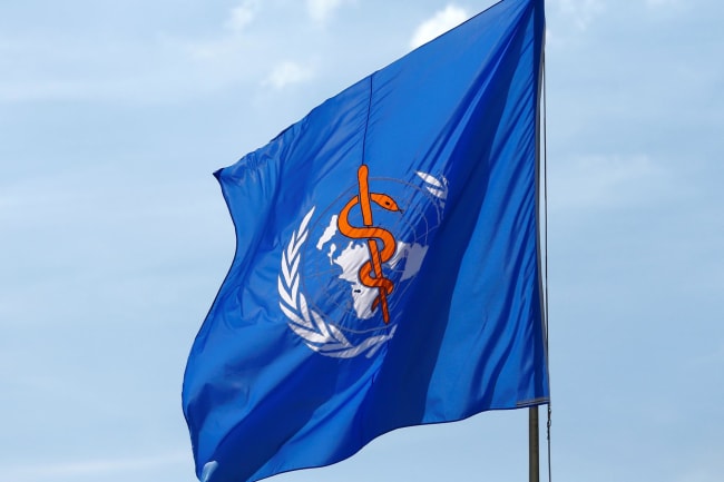 A WHO flag is pictured during the seventieth World Health Assembly, at the United Nations, in Geneva, Switzerland, on May 23, 2017.