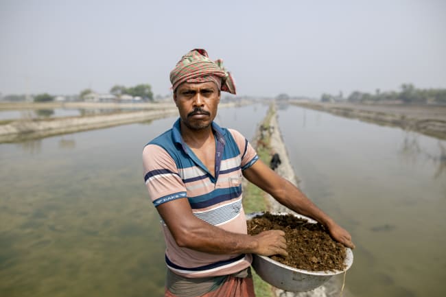 A man feeds a shrimp pond, scattering food across the water to sustain the growing stock. Photo taken on March 5, 2026, in Koyra subdistrict, Khulna district.