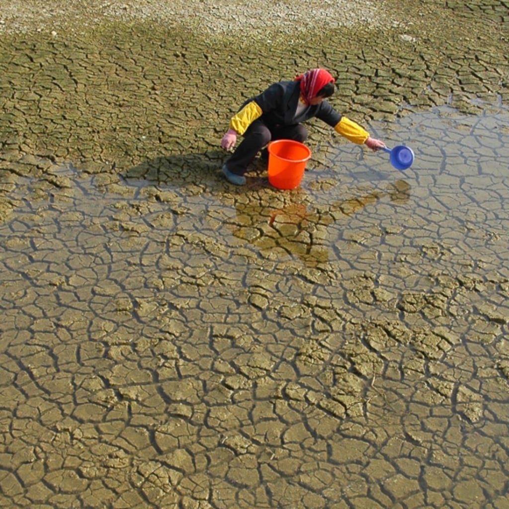 Timeline: UN Climate Talks