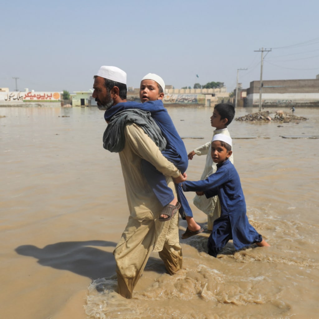 Fighting the Climate Crisis, With Gernot Wagner Image