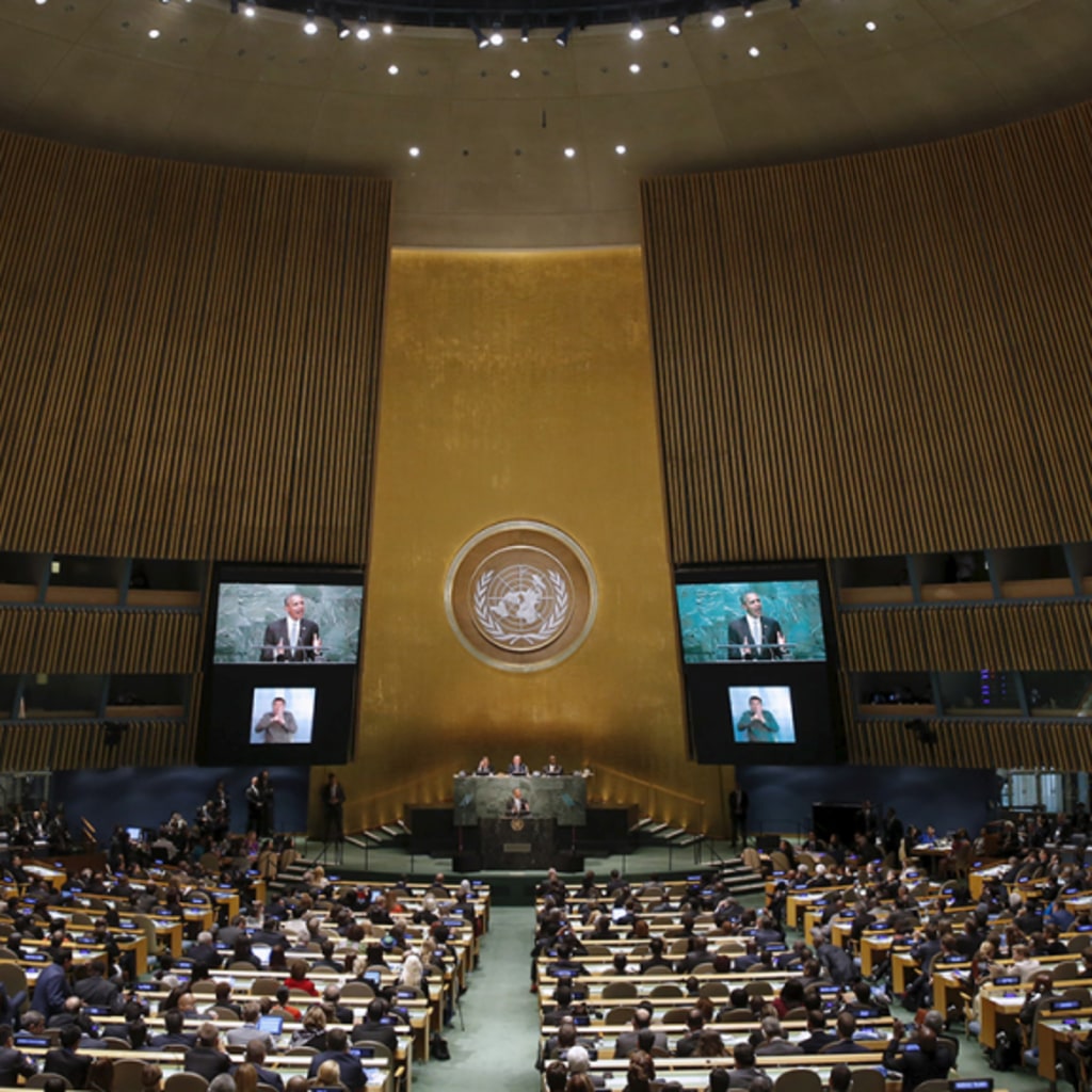 Marking a Decade: The UN Sustainable Development Goals in Review