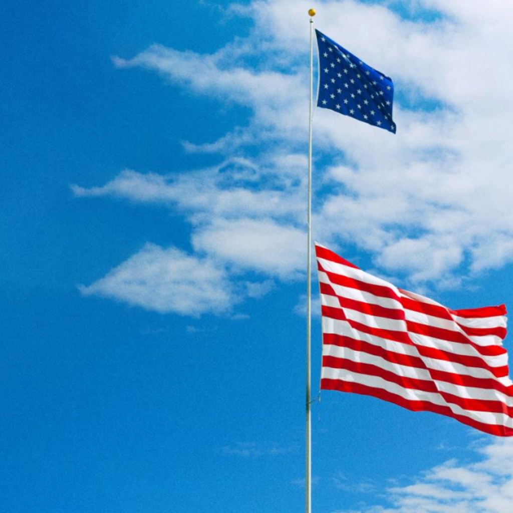 Federalism and Foreign Policy: The Role of States