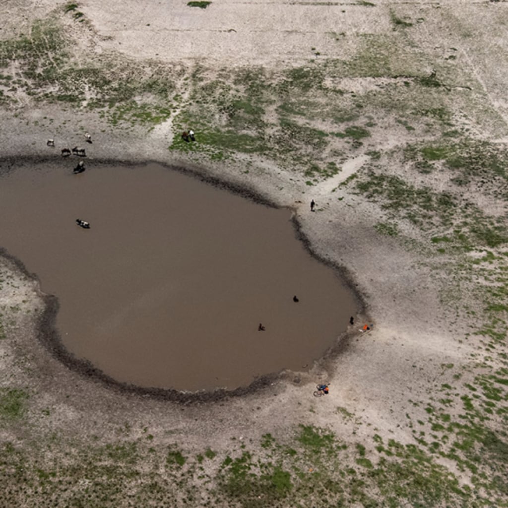 The Next Great Wave: Human Migration and Climate Change