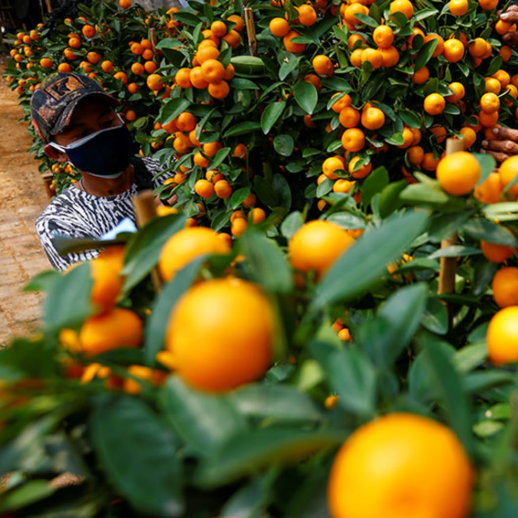 Eliminating Human Trafficking: The Role of the Private Sector