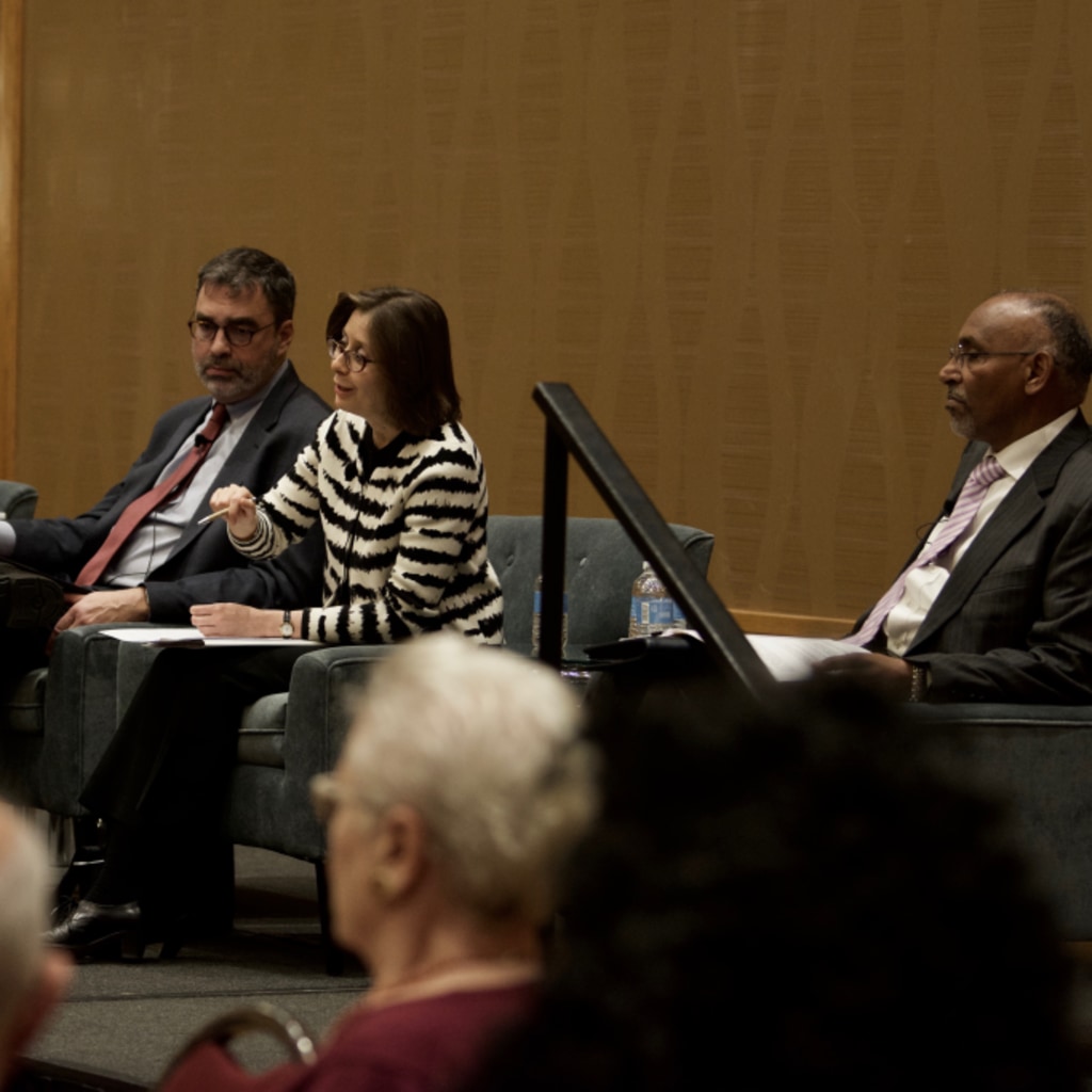 AAR2018LuncheonPanel