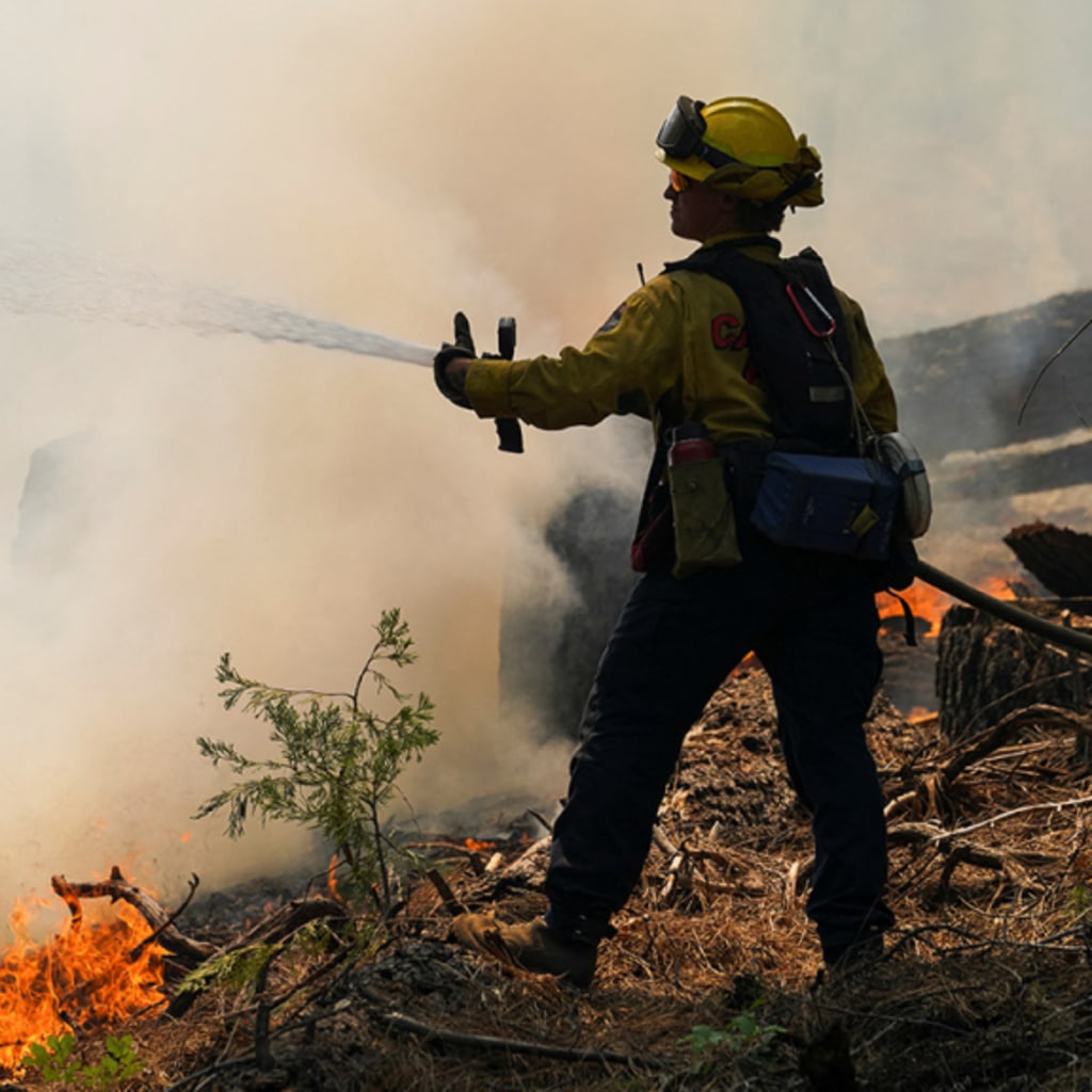 Term Member Virtual Meeting: Recover, Rebuild, Resilience: California’s Post-Wildfire Future