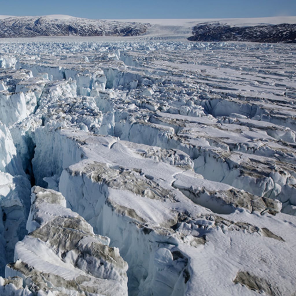 Young Professionals Briefing: Adapting to Climate Change