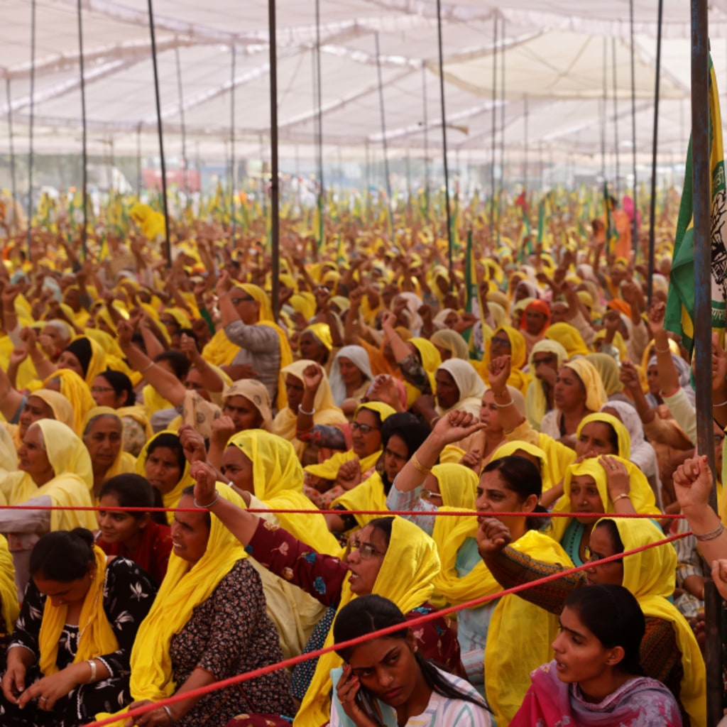 The Indian Farmer Protests