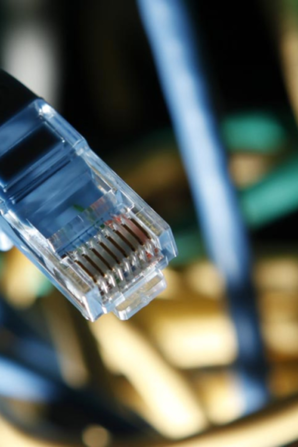 <p>An internet cable in a server room. </p>