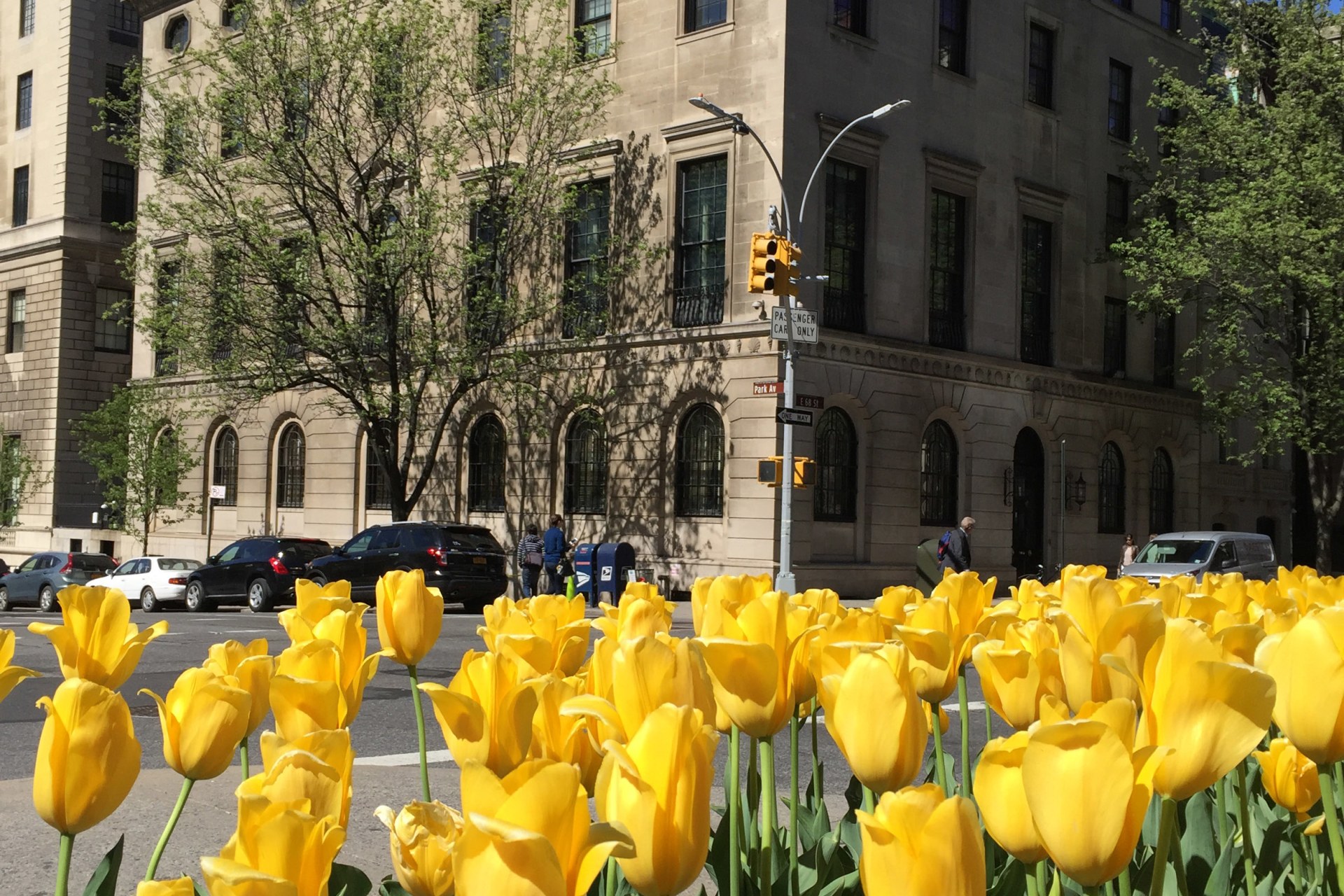 Pratt House Spring 2016