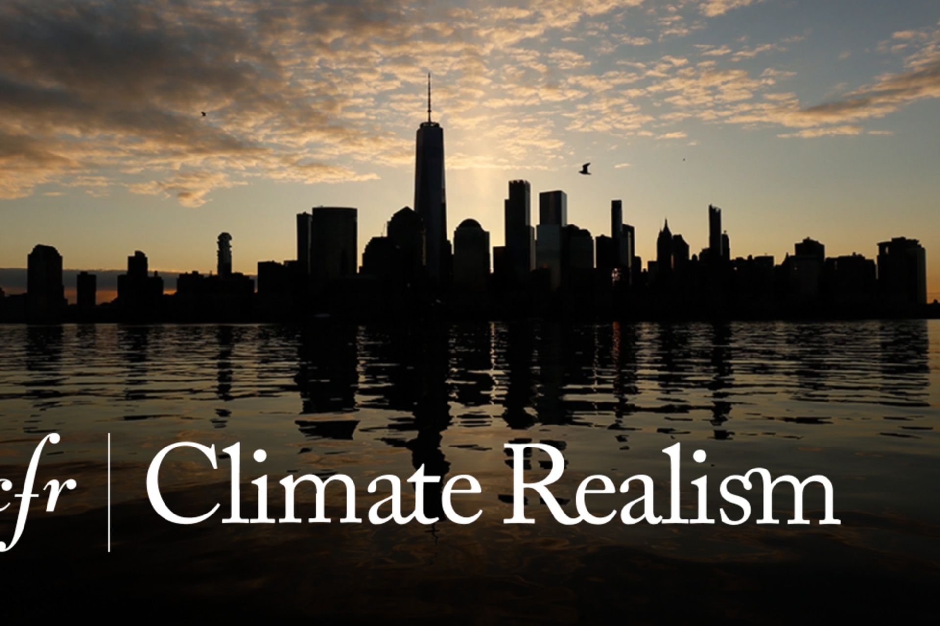 Climate Realism Logo
