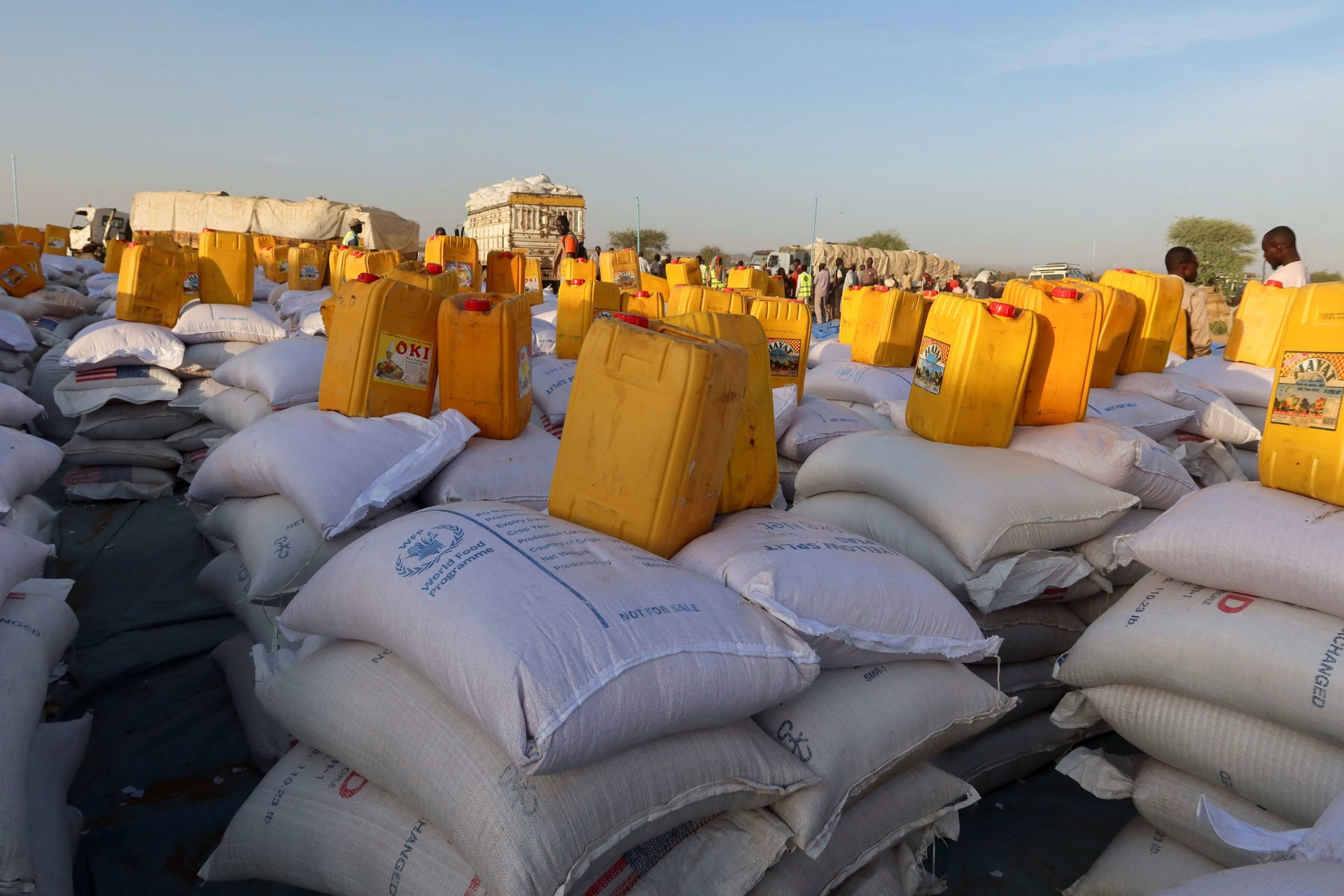 <p>Aid provided by the World Food Program is seen in Adre Camp in Adre, Chad, on November 8, 2023.</p>