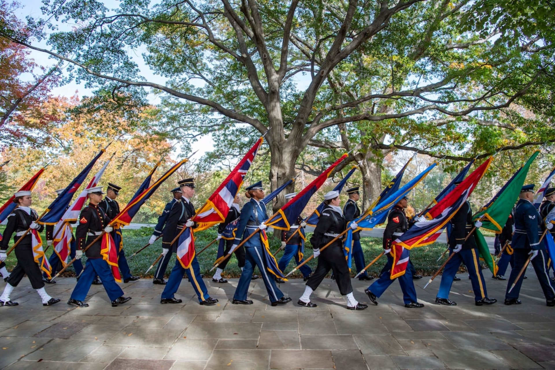 <p>Flag Cordon marches to observe Veterans Day at Arlington National Cemetery.</p>
