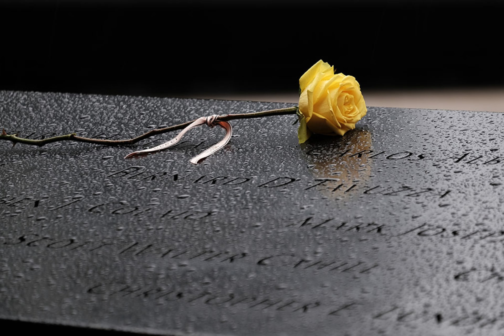 <p>A flower placed over names at the September 11th Memorial on September 9, 2021 in New York City</p>