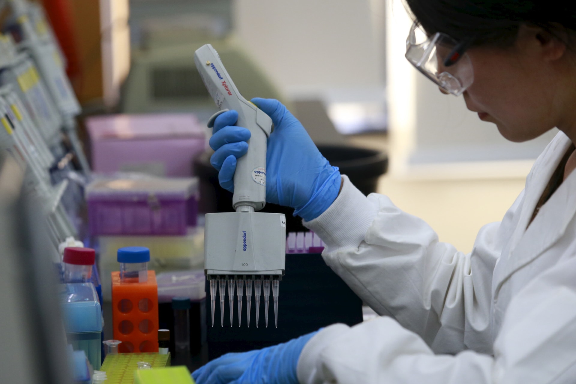 <p>A researcher uses a pipette to develop assay to detect specific gene of corn at a lab in Syngenta Biotech Center in Beijing.</p>