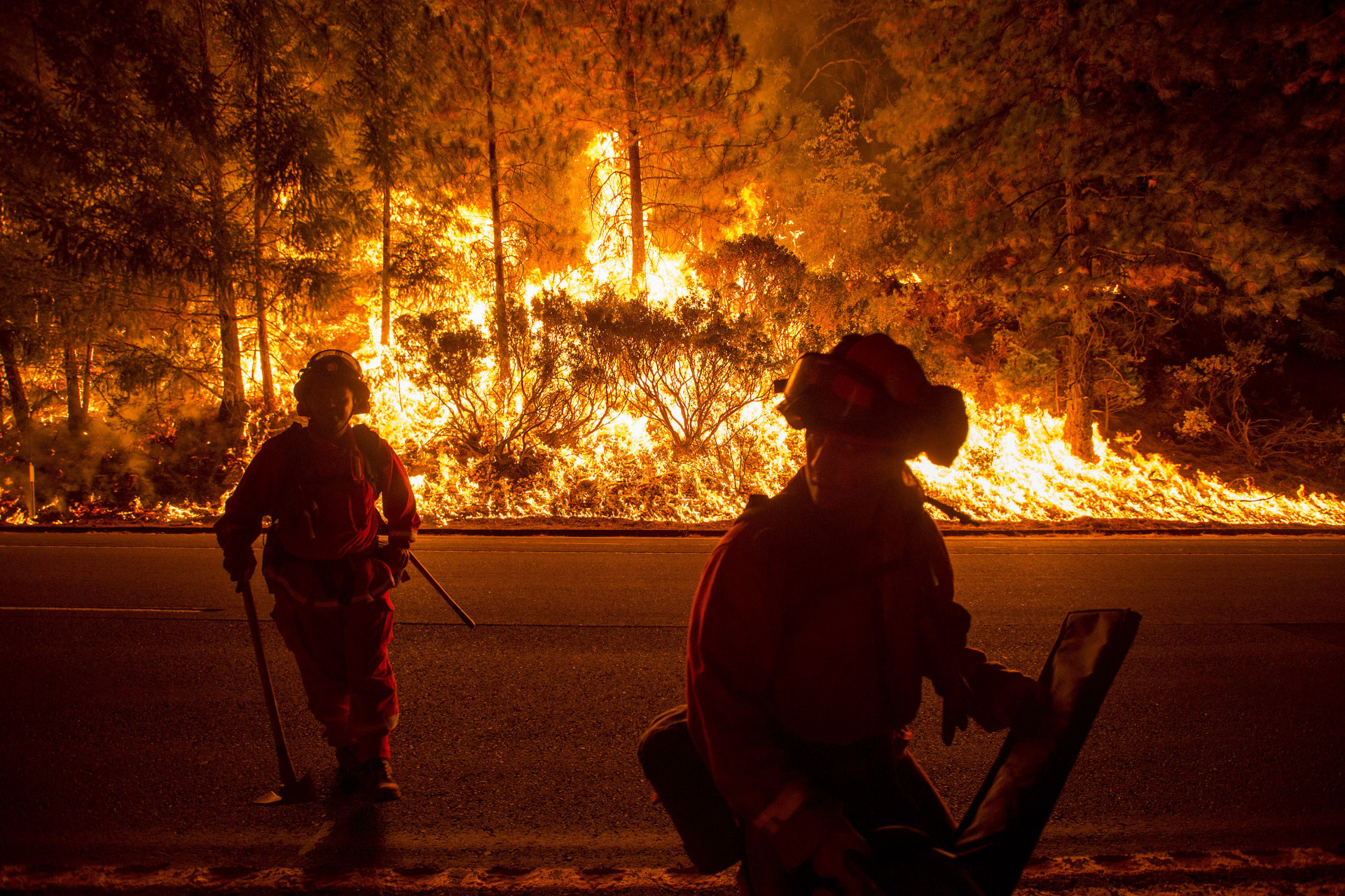 <p>Firefighters battling the King Fire watch as a backfire burns along Highway 50 in Fresh Pond, California September 16, 2014. The fire led officials to call on about 400 people to evacuate from areas threatened by the blaze.</p>