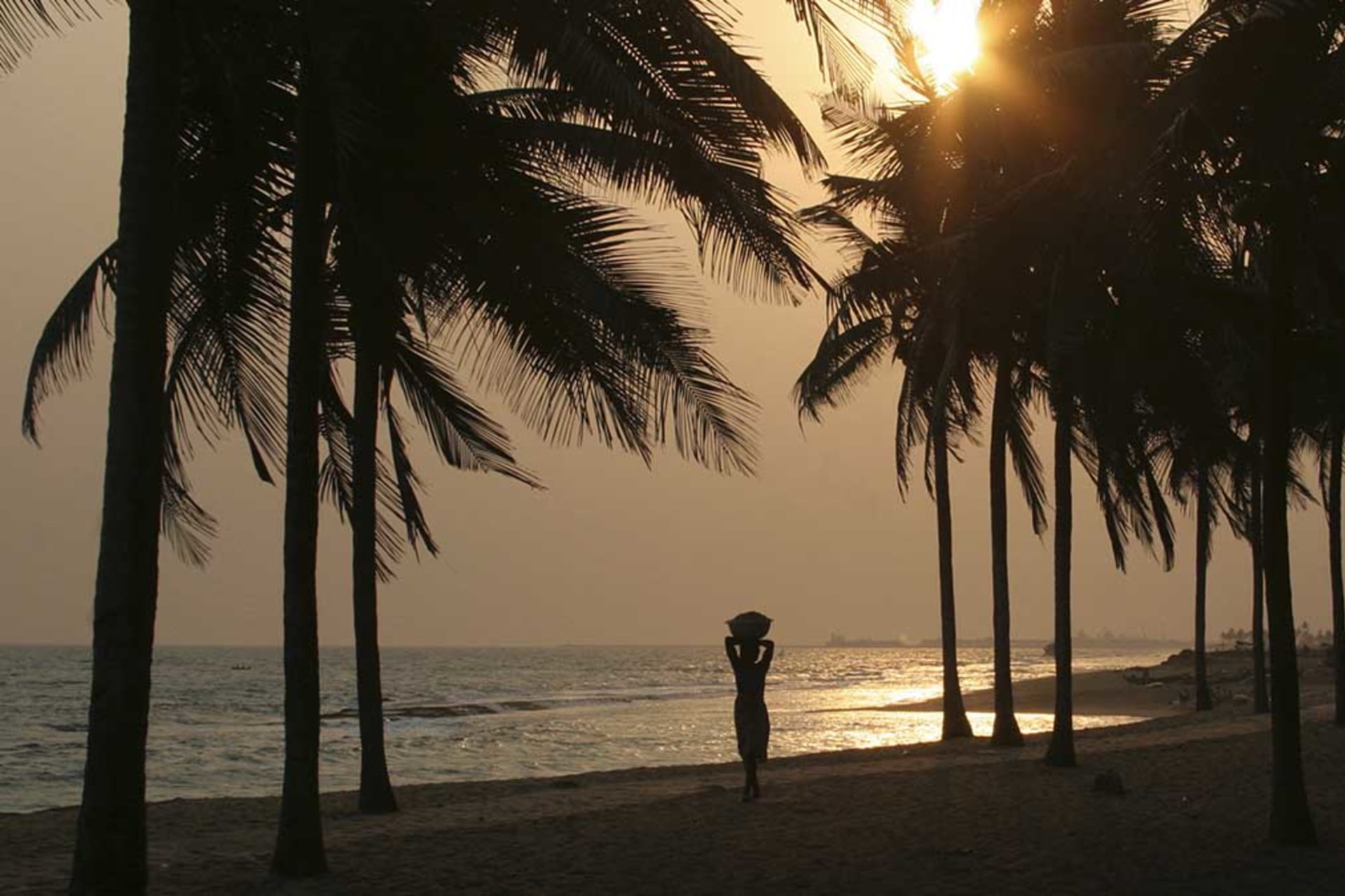 <p>Silhouetted palm trees and woman carrying merchandise on her head on a beach at sunset, Gulf of Guinea, Lome, Togo, West Africa, January 31, 2013.</p>