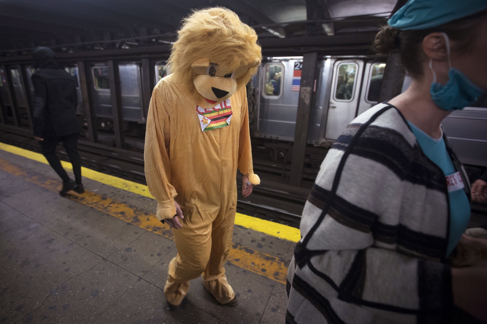 <p>A person dressed as Cecil the Lion walks though the 14th Street subway station in the Manhattan borough of New York, on October 31, 2015.</p>
