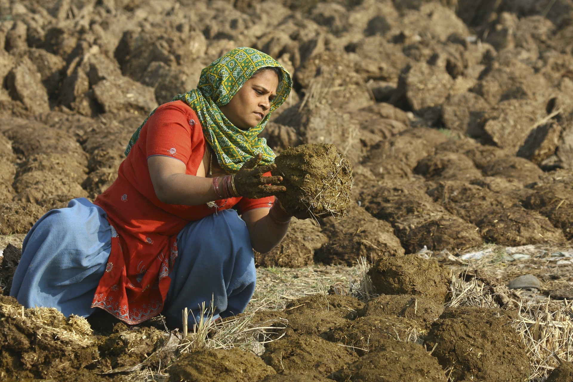 <p>A villager makes cow dung cakes used as cooking fuel at Maloya village on the outskirts of the northern Indian city of Chandigarh January 31, 2011. </p>