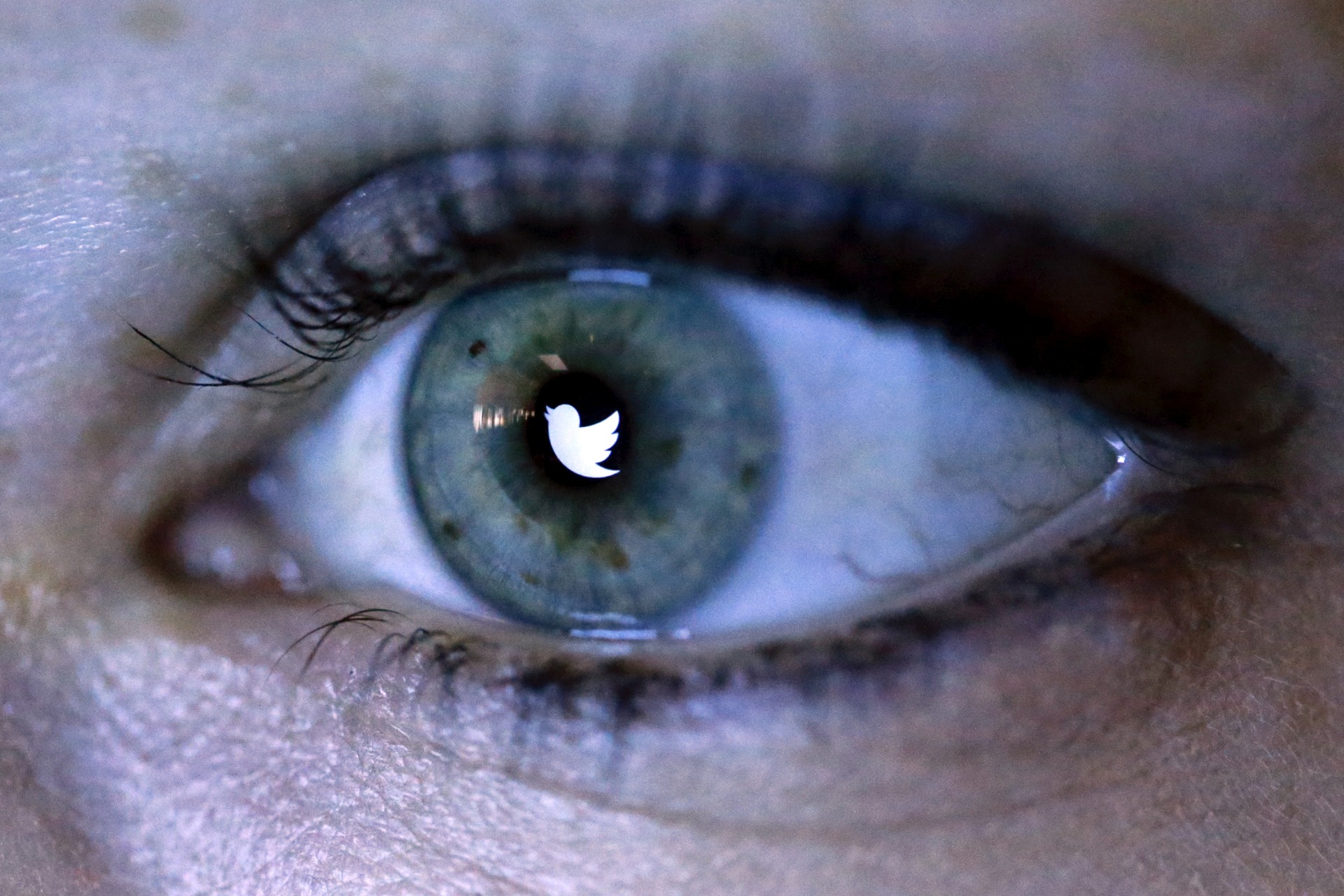 <p>An illustration picture shows the Twitter logo reflected in the eye of a woman in Berlin on November 7, 2013. </p>

