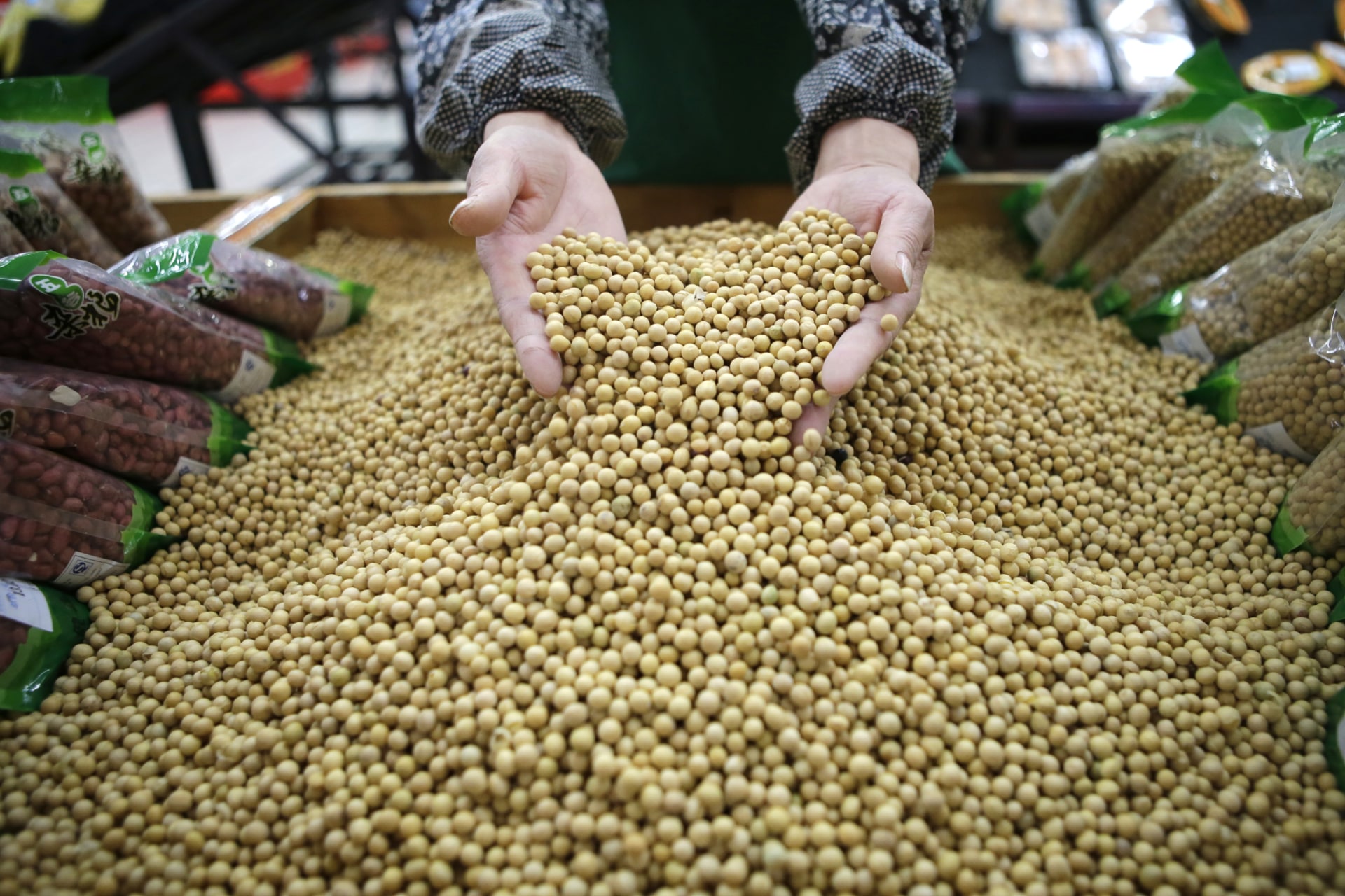 <p>An employee picks out bad beans from a pile of soybeans at a supermarket in Wuhan, Hubei province.</p>
