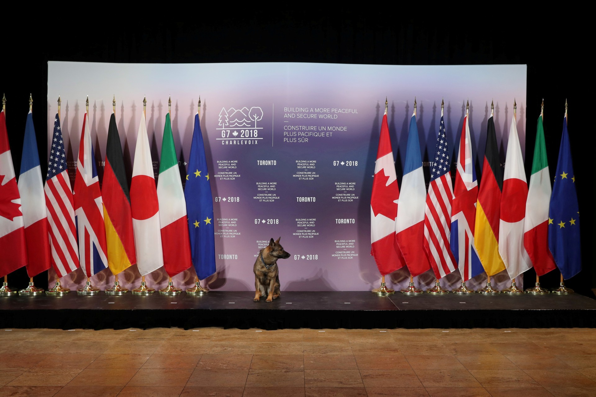 <p>A Royal Canadian Mounted Police security dog waits for the arrival of security ministers and foreign ministers ahead of a group photo on the second day of meetings for foreign ministers from G7 countries in Toronto, Canada on April 23, 2018</p>
