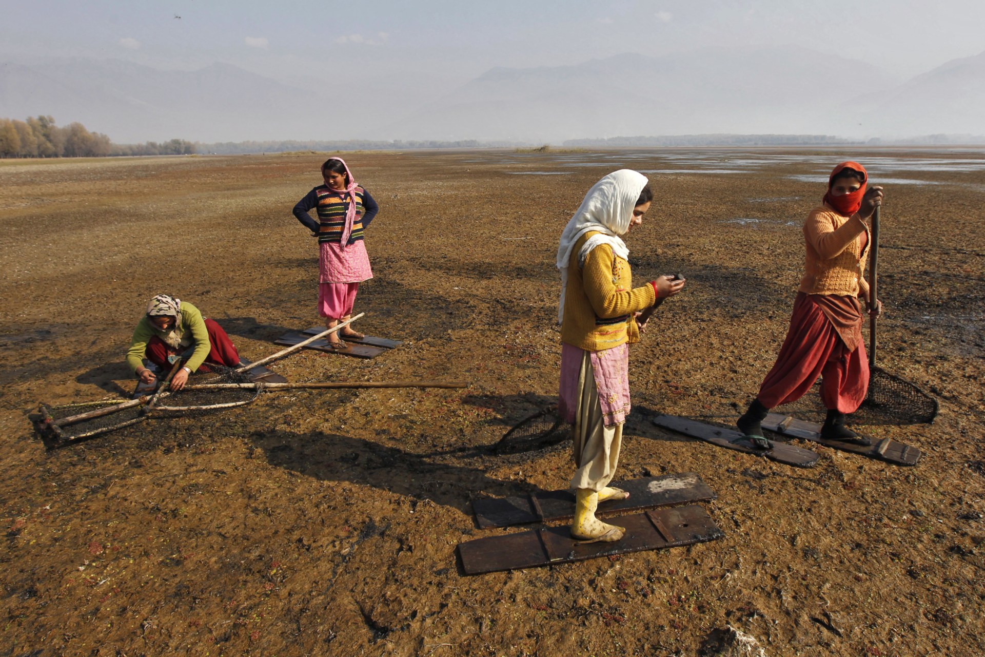 <p>Women walk over marshy land to collect water chestnuts from the waters of Wular Lake at Bandipora, about 65 km (40 miles) north of Srinagar, India, November 5, 2012</p>