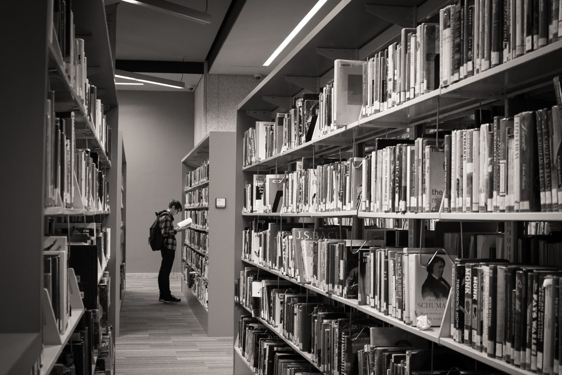 <p>Student in the stacks</p>

