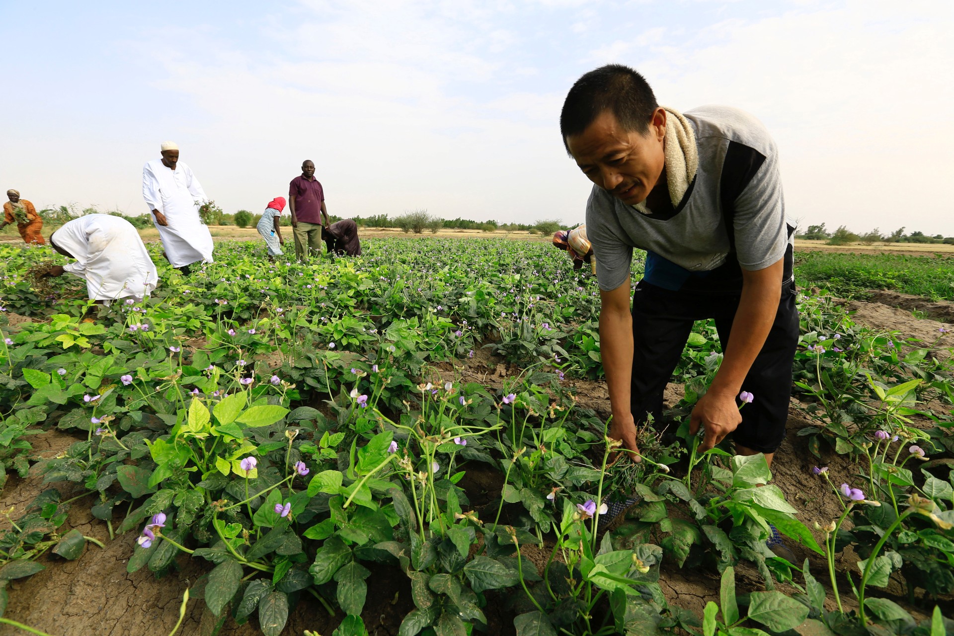<p>A Chinese farmer removes weeds inside his farm as China’s Minister of Agriculture Han Changfu visits the area for the Sudan-China Agriculture Cooperation Development Forum in Khartoum, Sudan.</p>