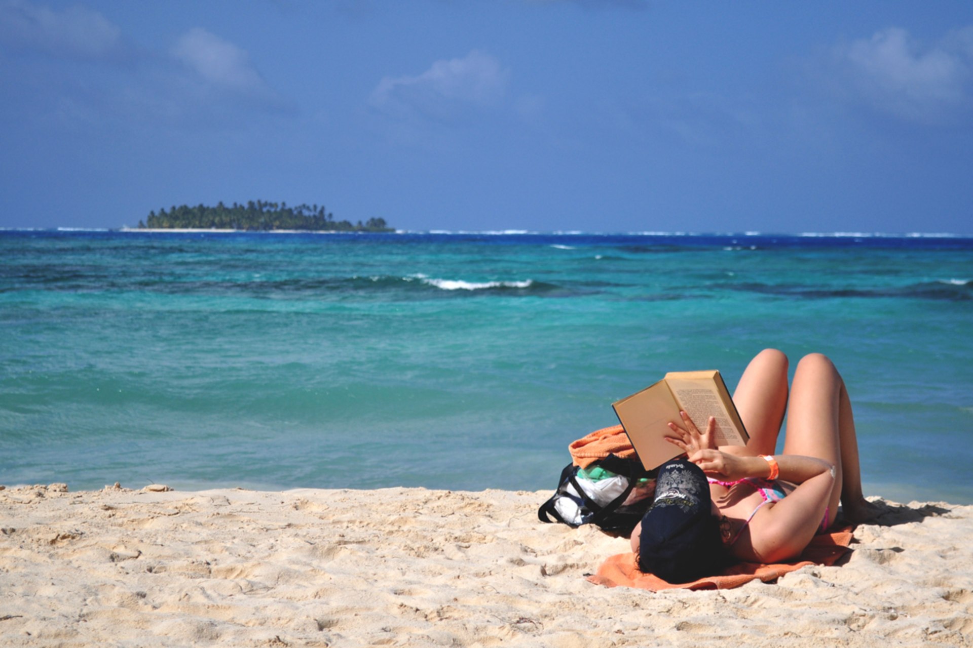 <p>Beach reading.</p>