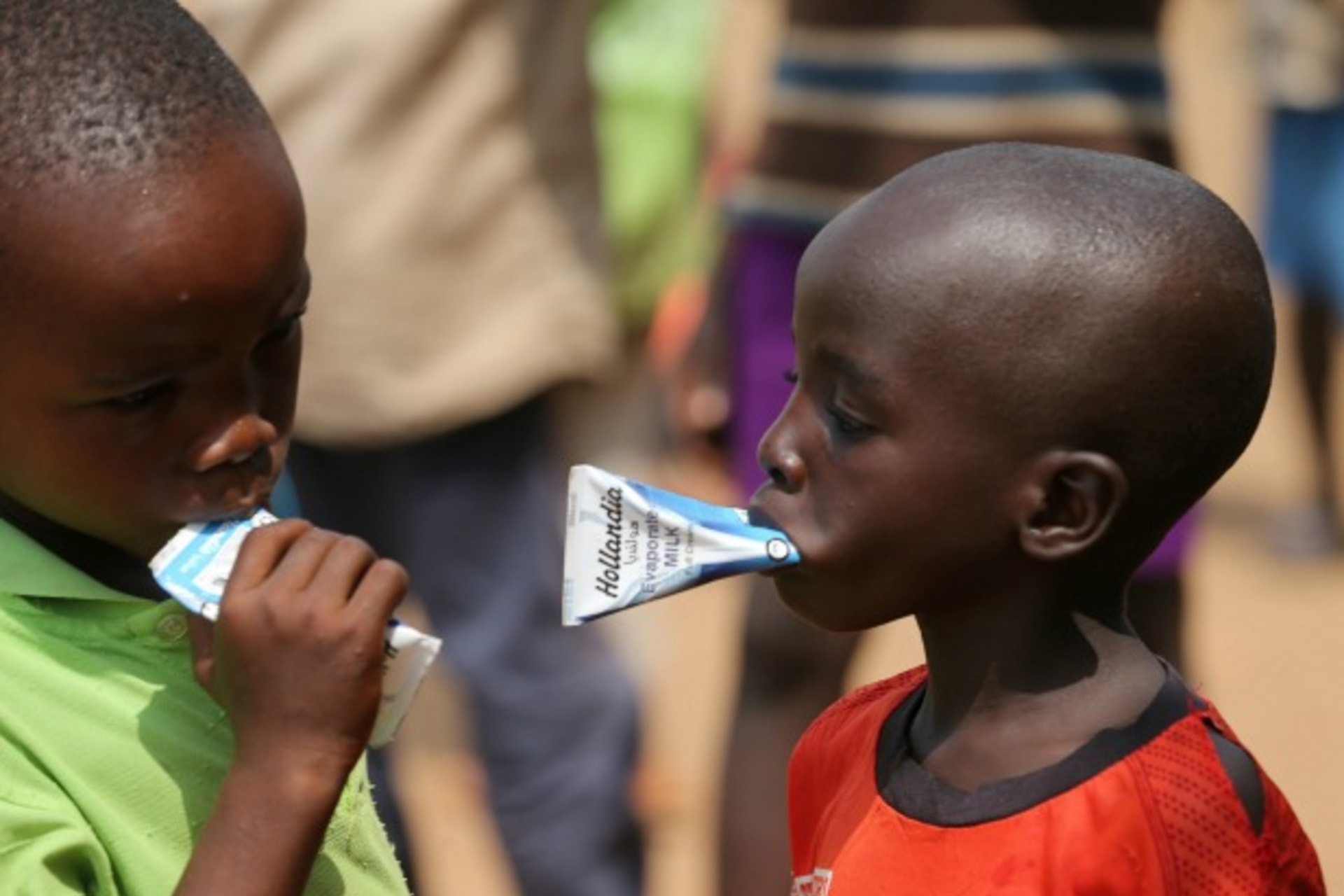 emergency-food-aid-needed-in-northeast-nigeria