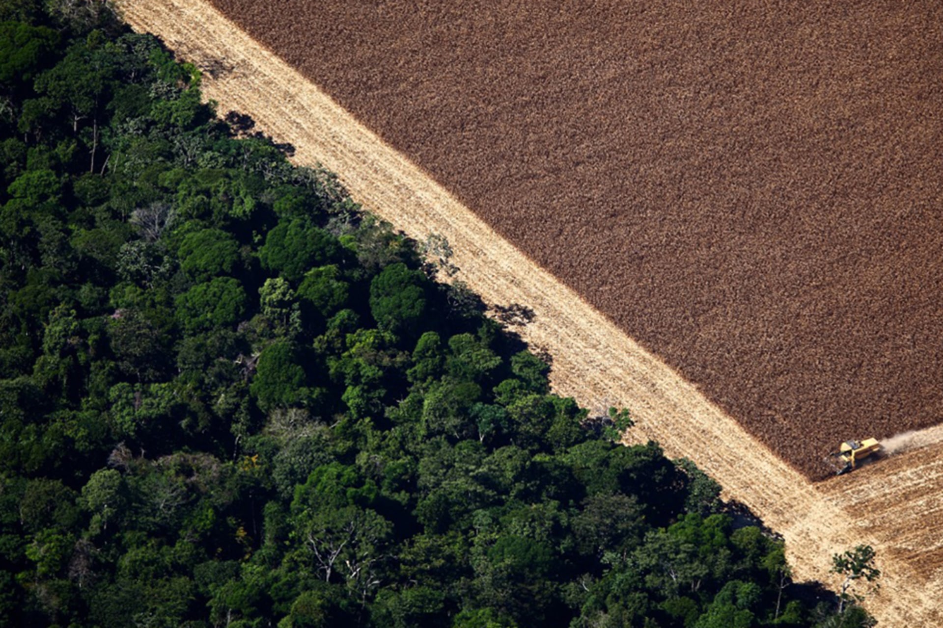 Deforestation-in-the-Amazon-InfoGuide-CFR-1160-630.jpg