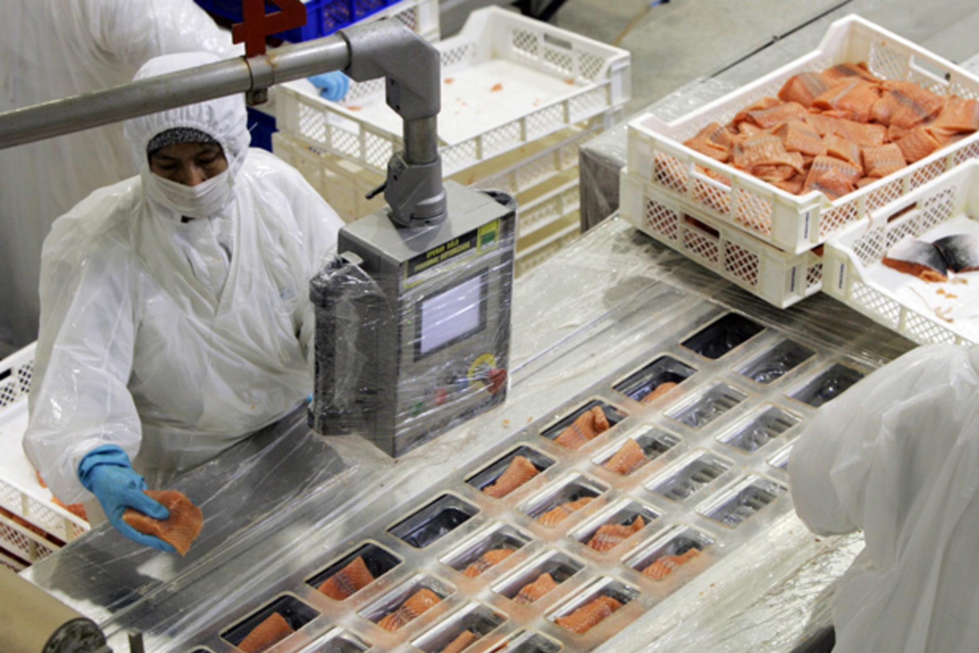 <p>Alfred Marshall, Michael Porter, Queretaro aerospace, Chile salmon, Start-Up Chile, Clusters</p>