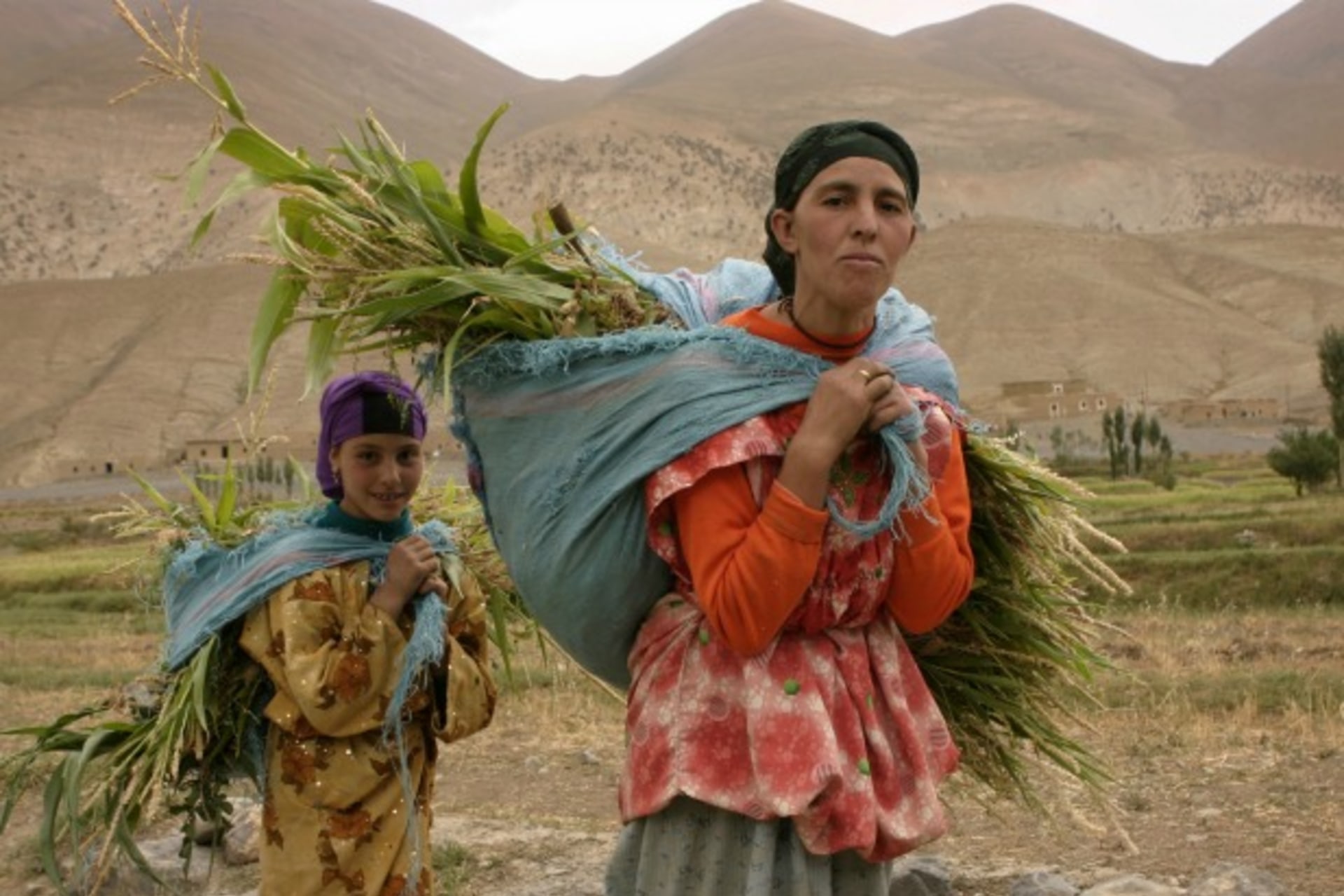 <p>Women carry silage on their backs in the High Atlas, Morocco, August 2006 (Courtesy Reuters/Eve Coulon).</p>
