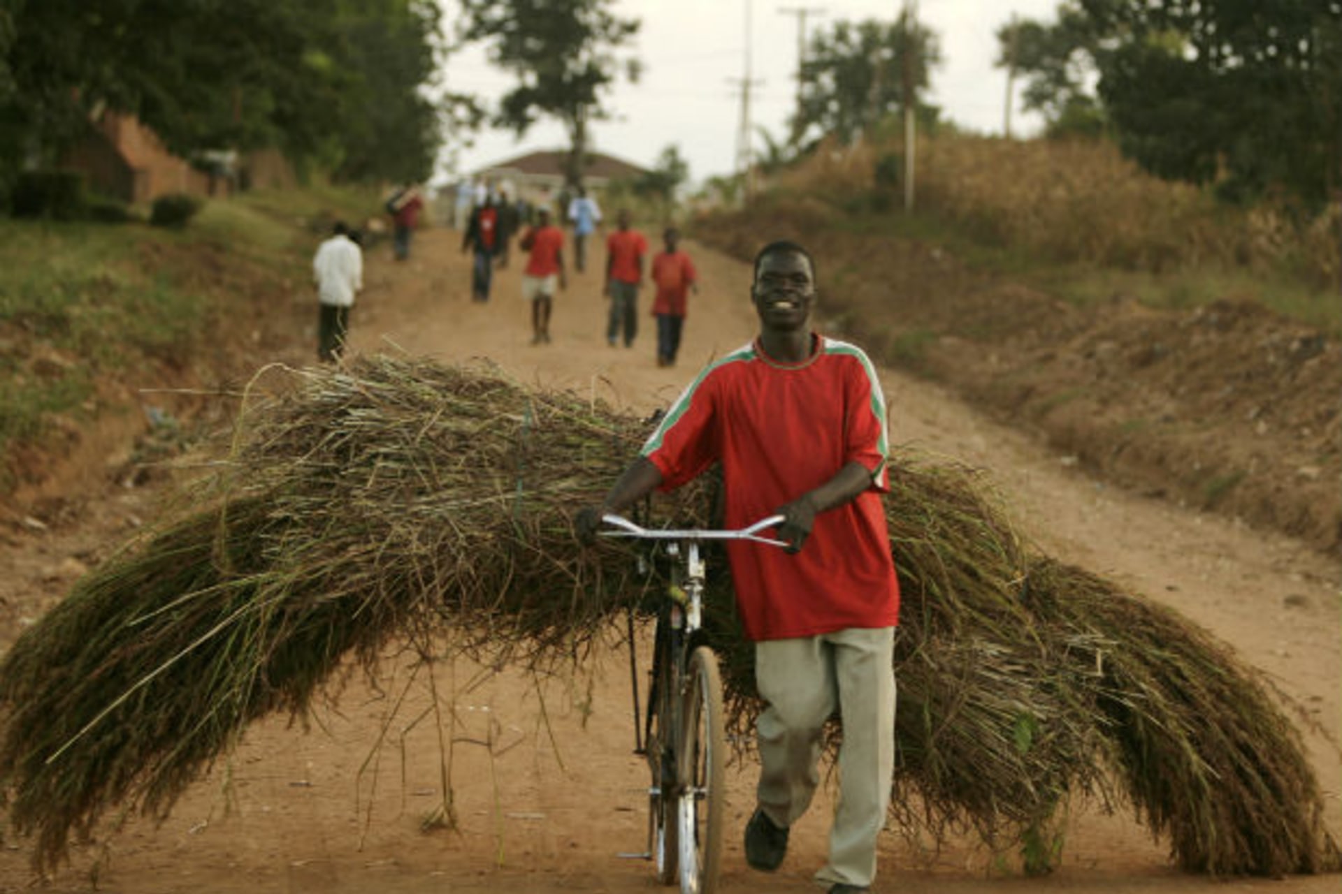 <p>A man pushes his bicycle loaded with harvested grass in Mchinji, Malawi on April 21, 2008 (Siphiwe Sibeko/Courtesy Reuters).</p>
