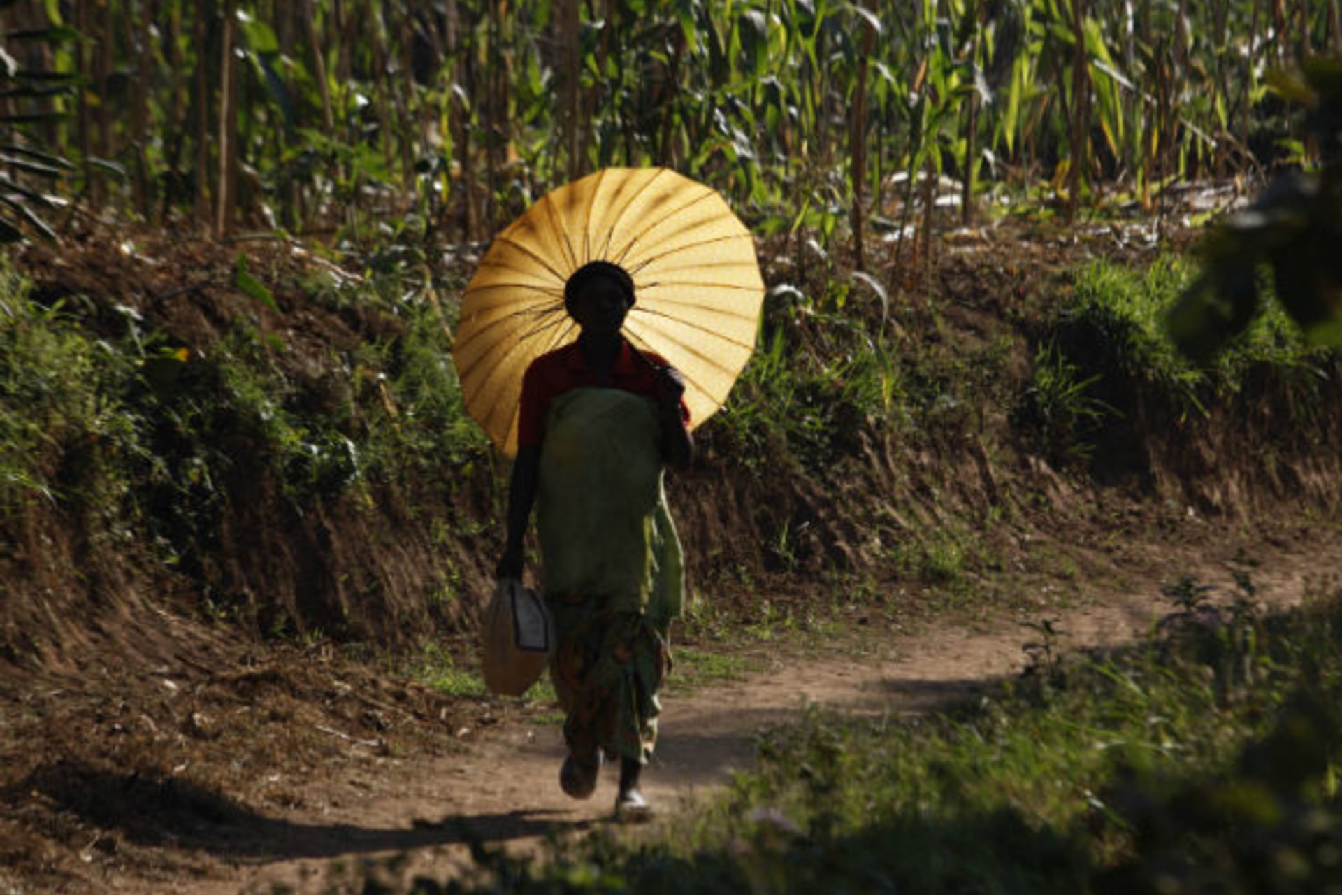 <p>A Rwandan woman carries an umbrella for shade at Mulindi, about 60 km (40 miles) north of the capital Kigali on August 5, 2010 (Finbarr O’Reilly/Courtesy Reuters).</p>
