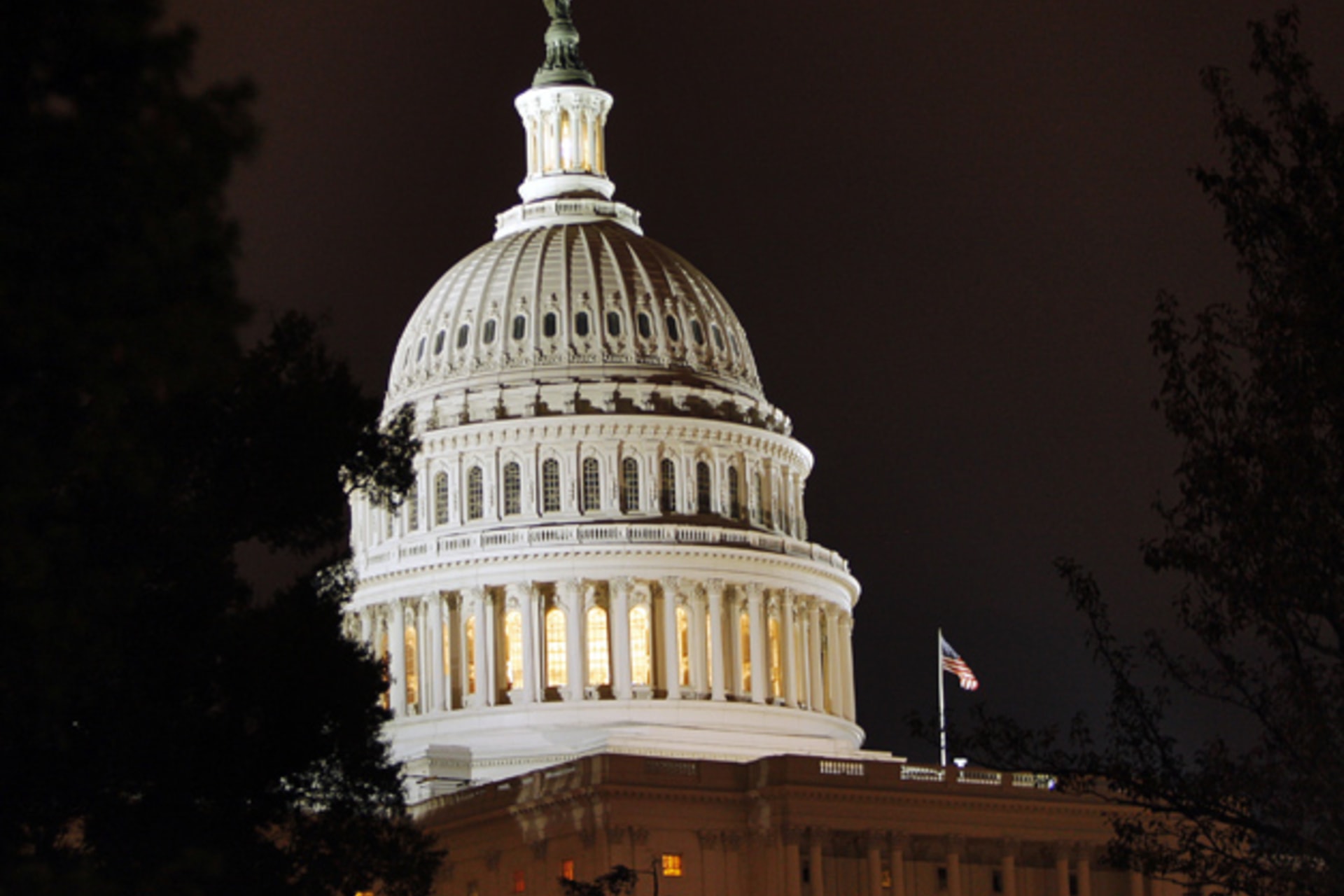 <p>The dome of the U.S. Capitol is lit up in Washington, DC (Brian Snyder/Reuters).</p>